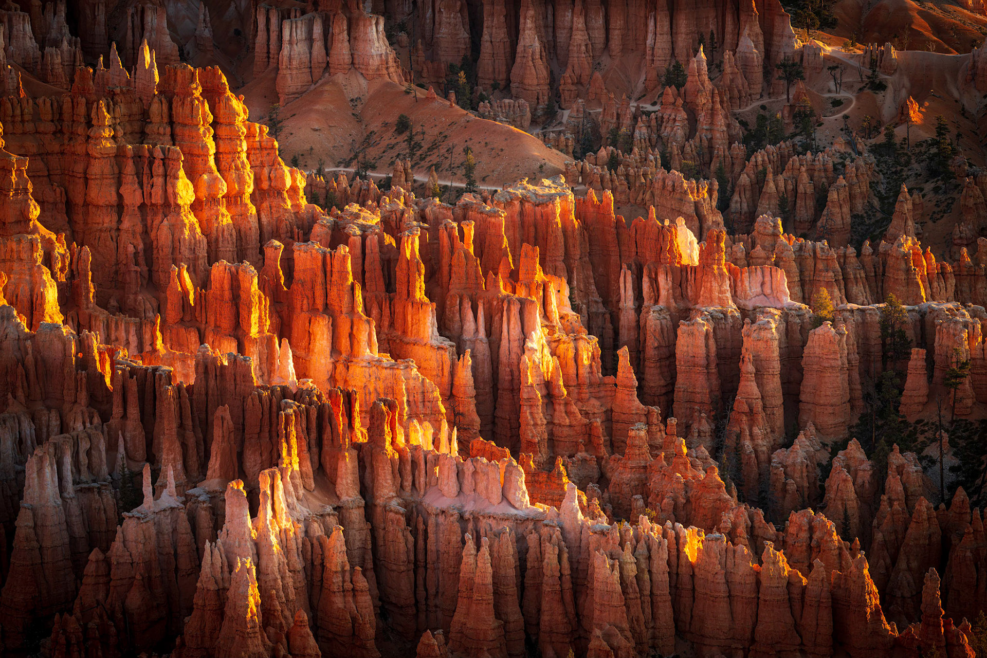 Cathedral of Stone