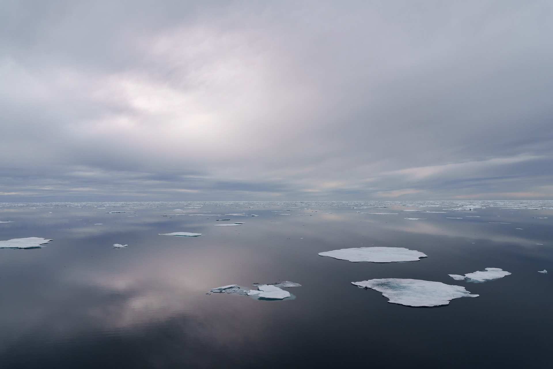 Surreal Morning at Romer Fjord