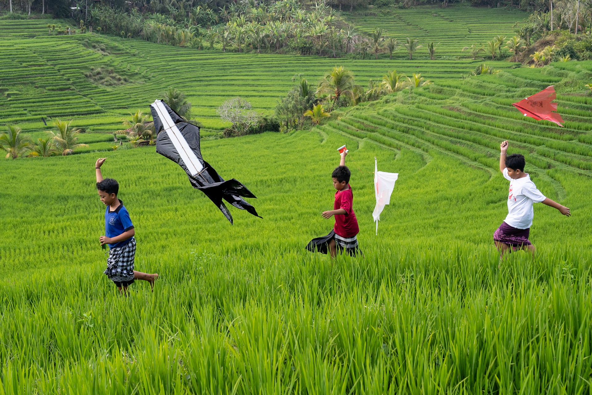 Three in Flight