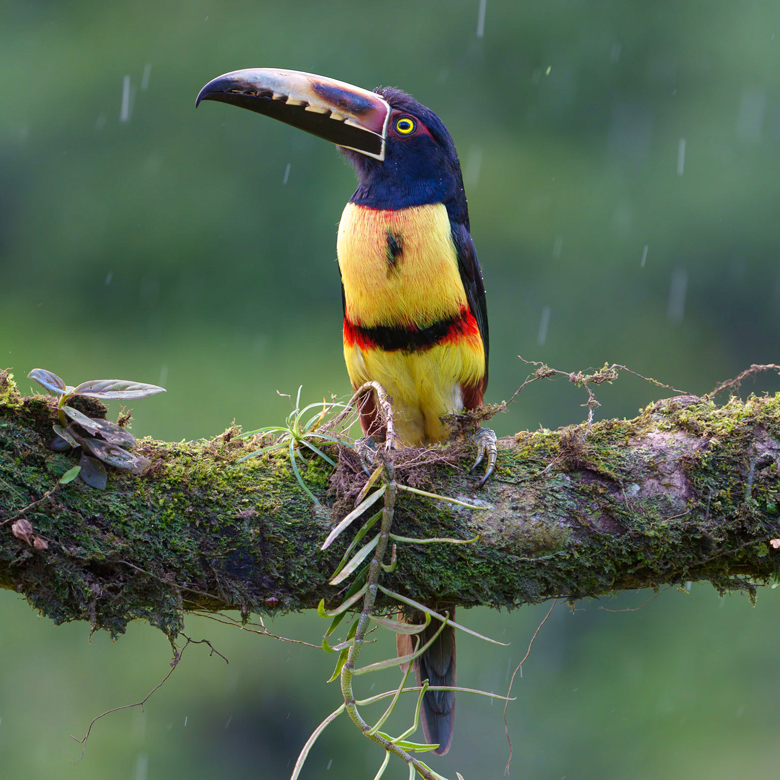 Waiting Out the Rain