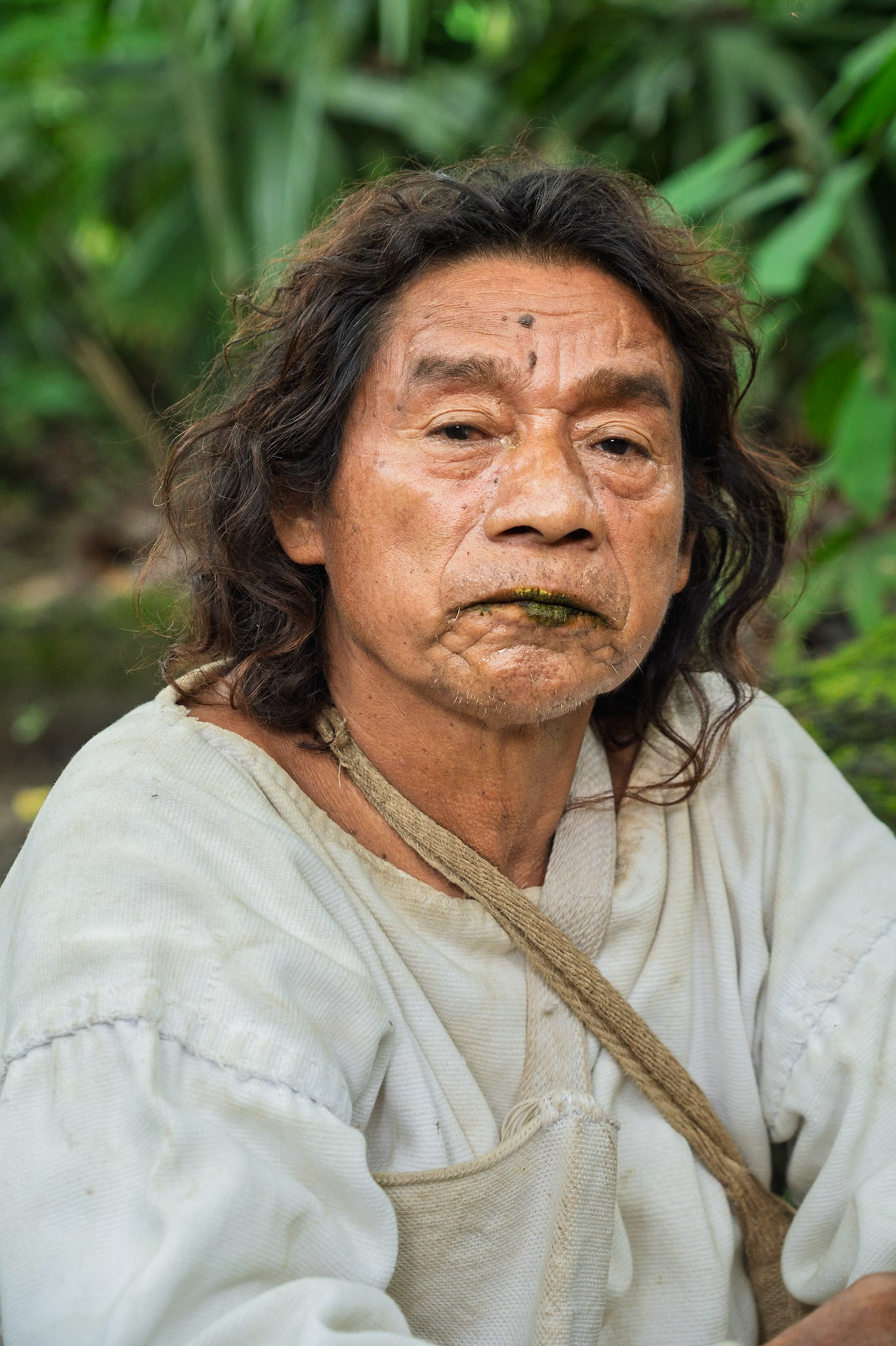 Kogui