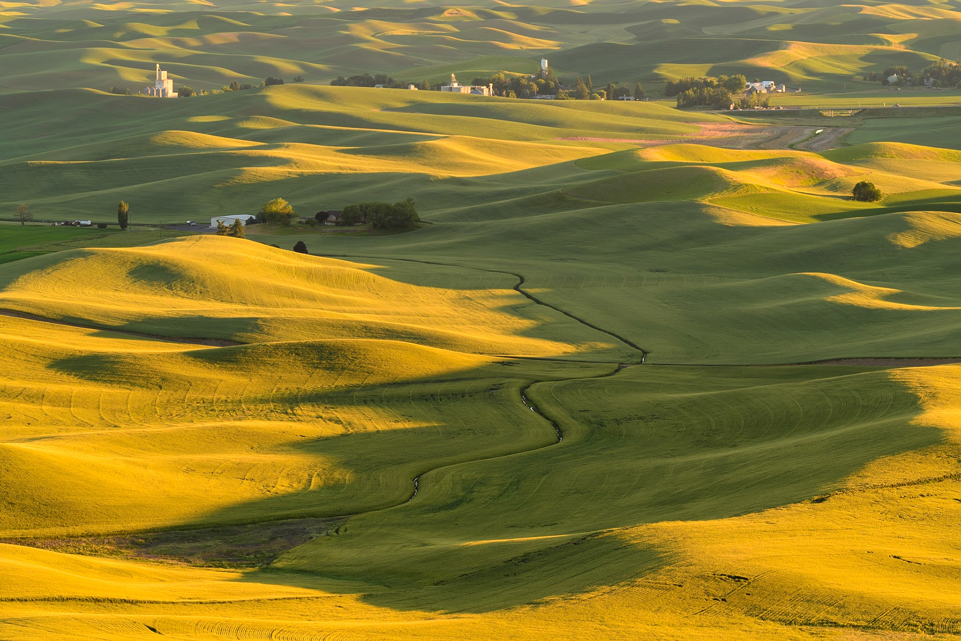 The Gentle Land