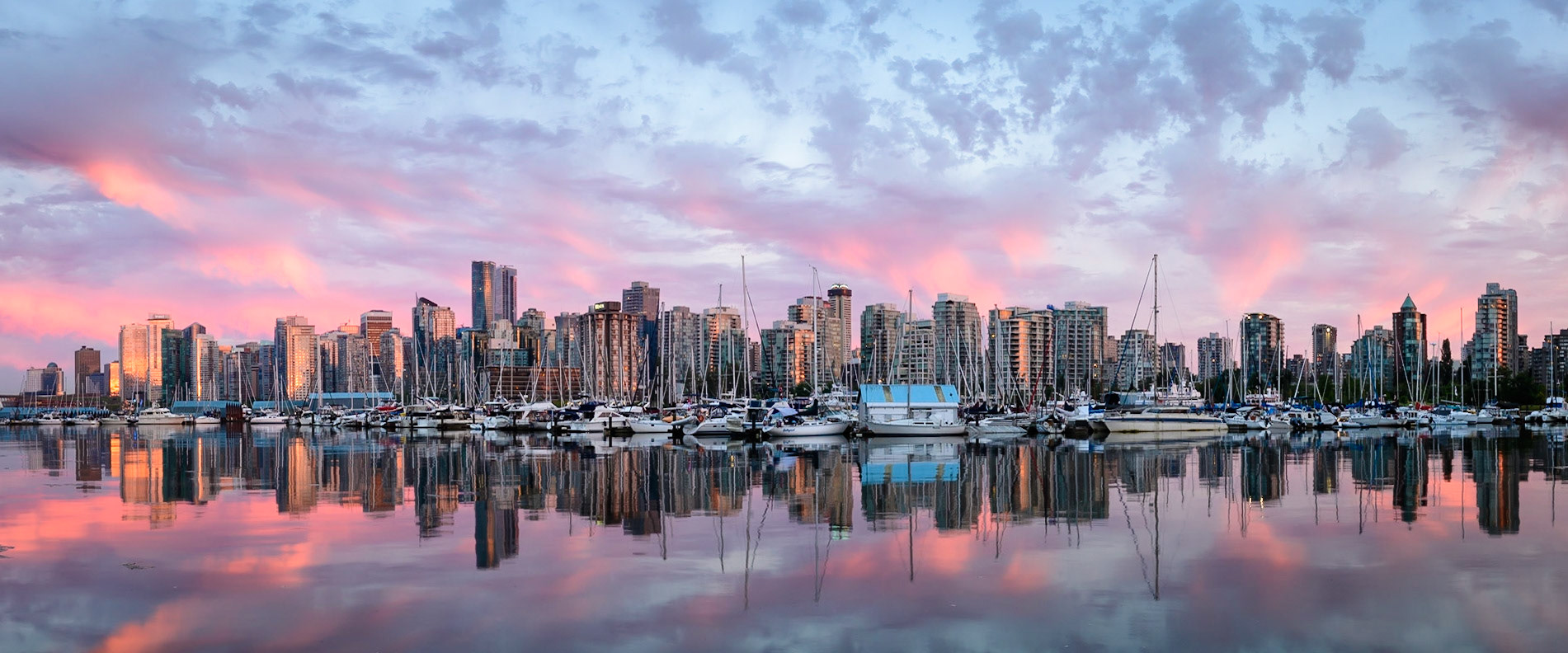 Harbor of Light