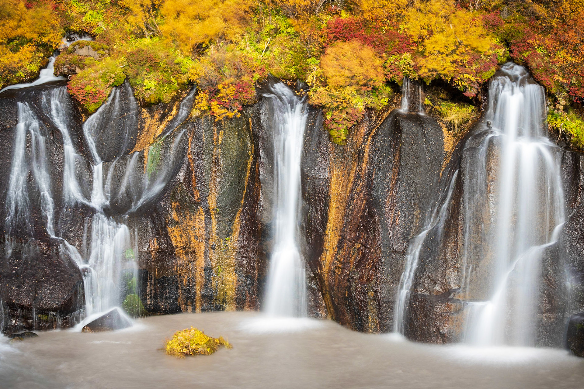 Autumn Veil