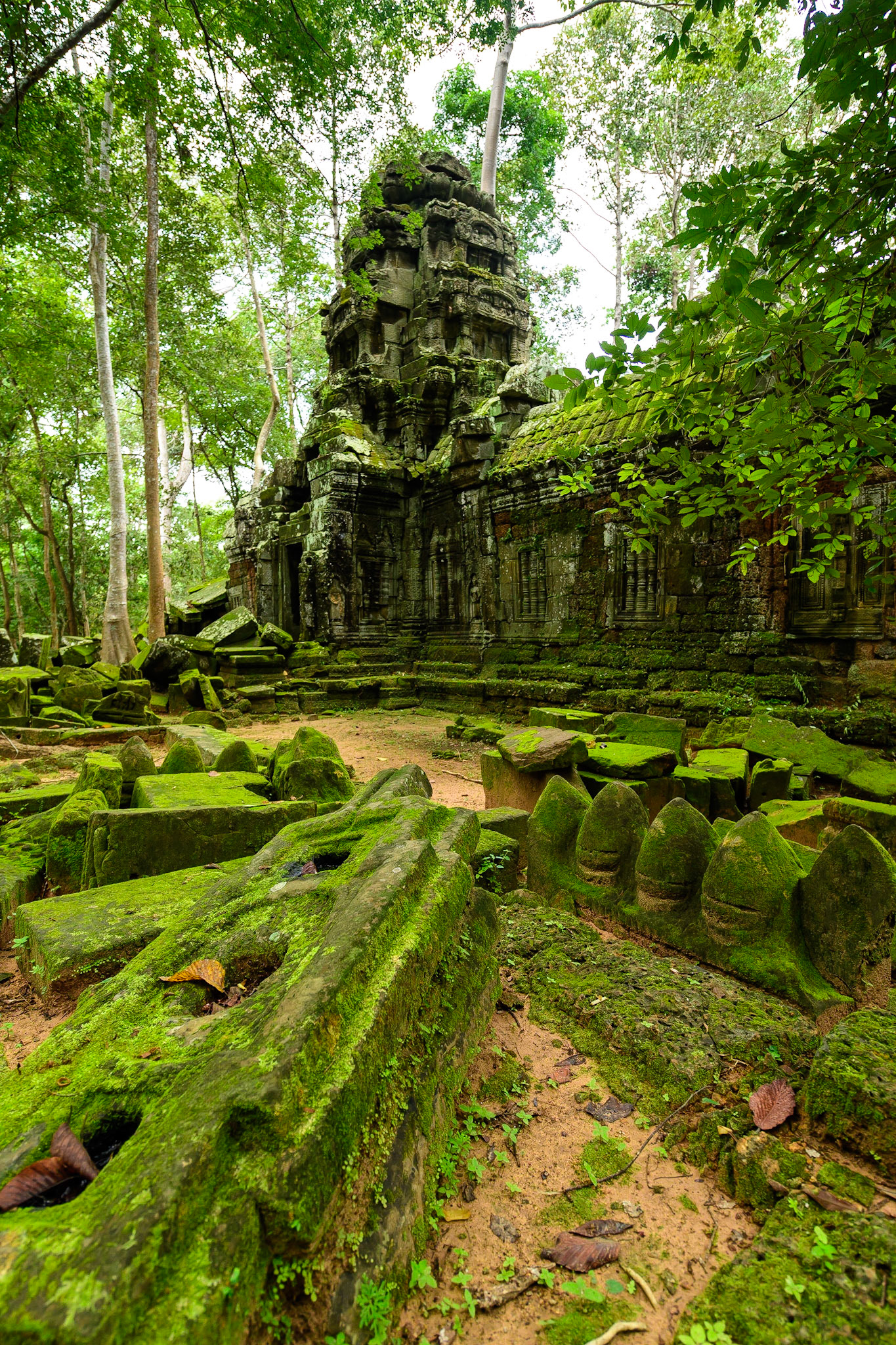The Green of Ta Nei