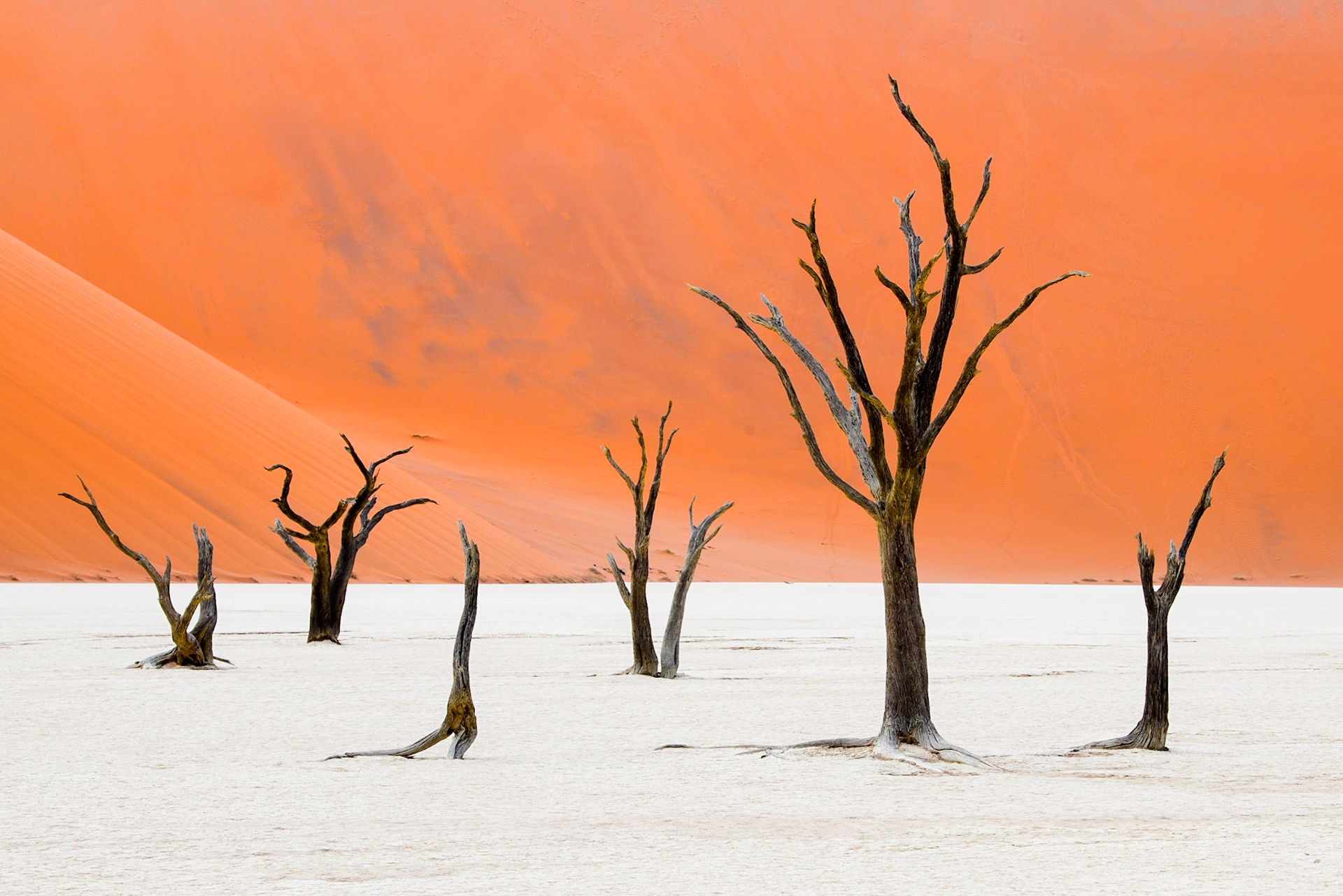 Sentinels of Deadvlei