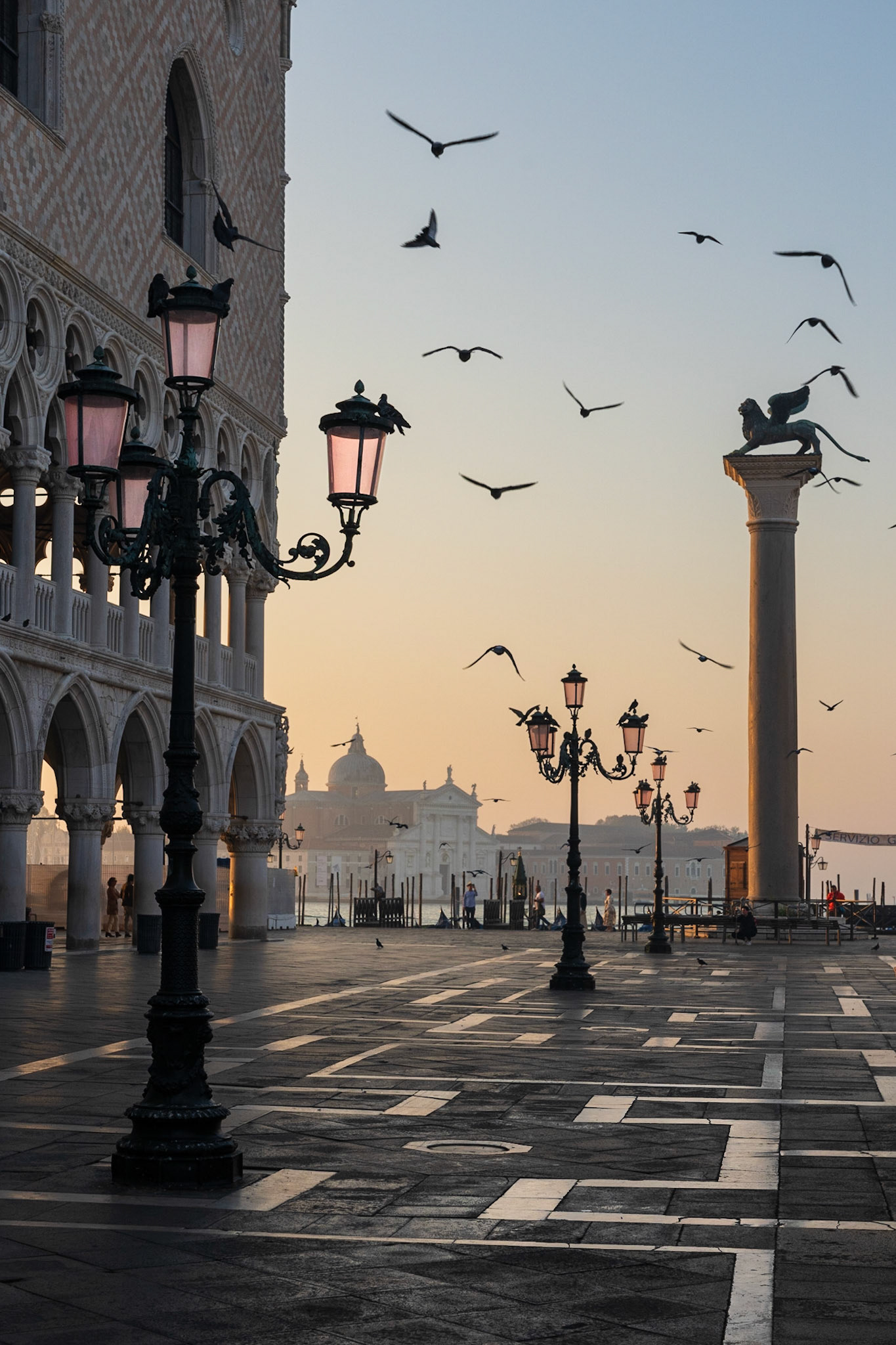 Birds in Venice