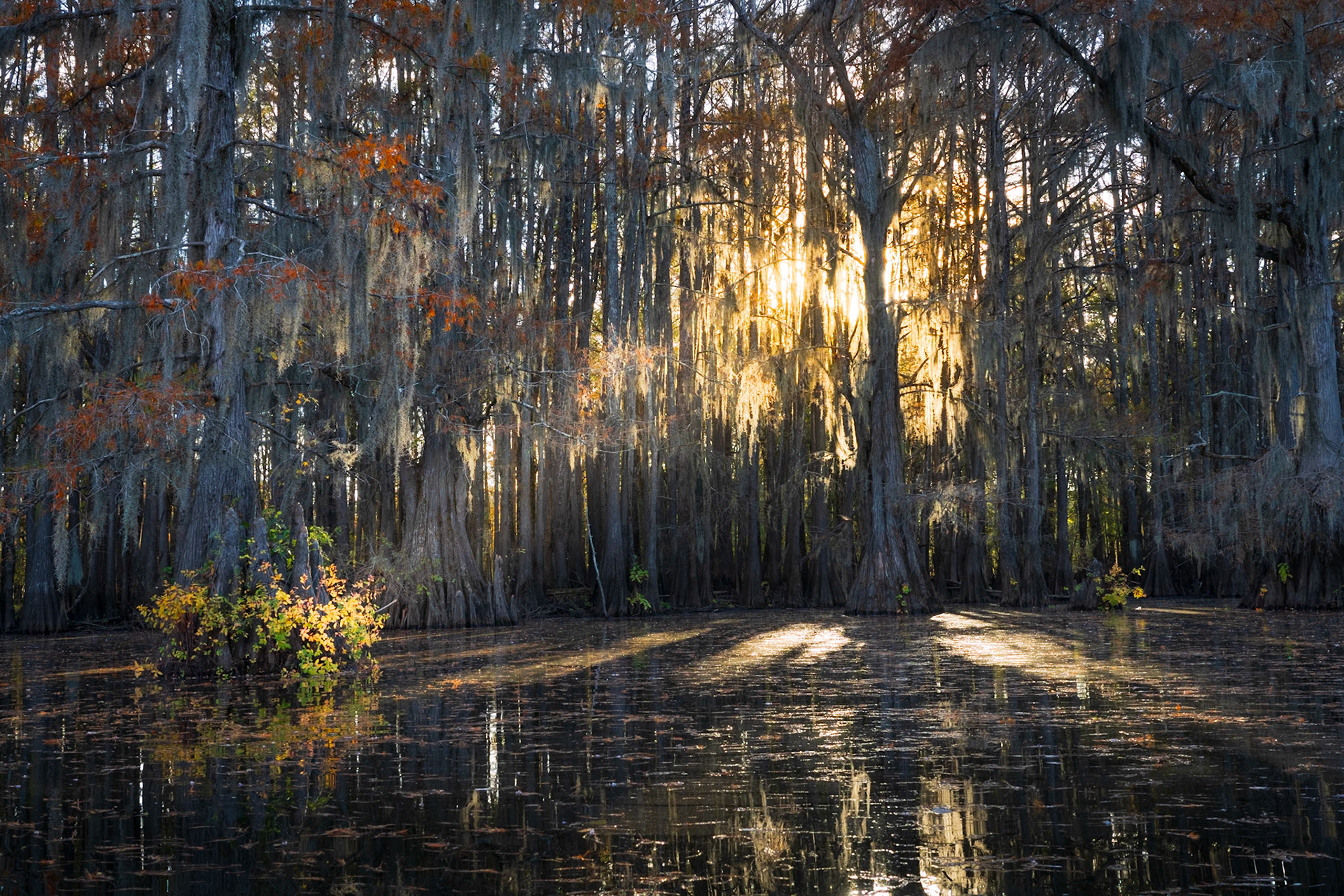 Sunset at Caddo Lake