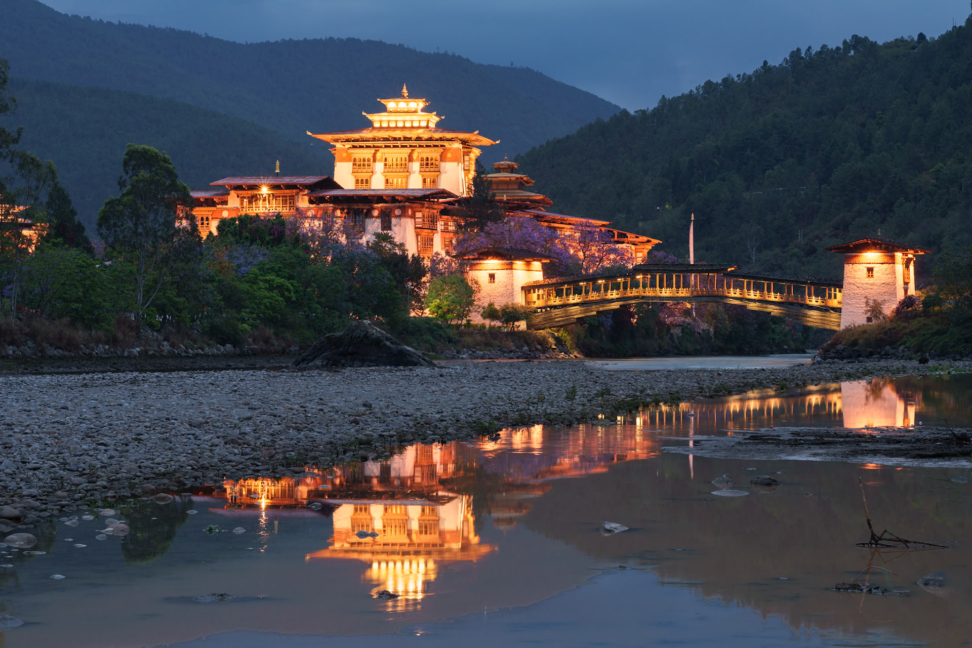 Punakha Dzong at Night