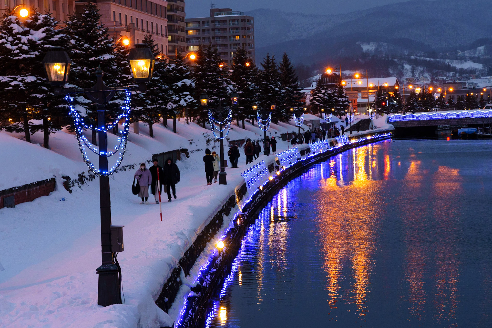 Winter Lights