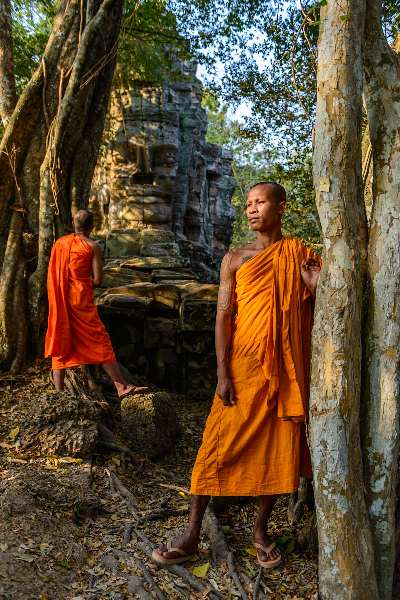Walking with Buddha