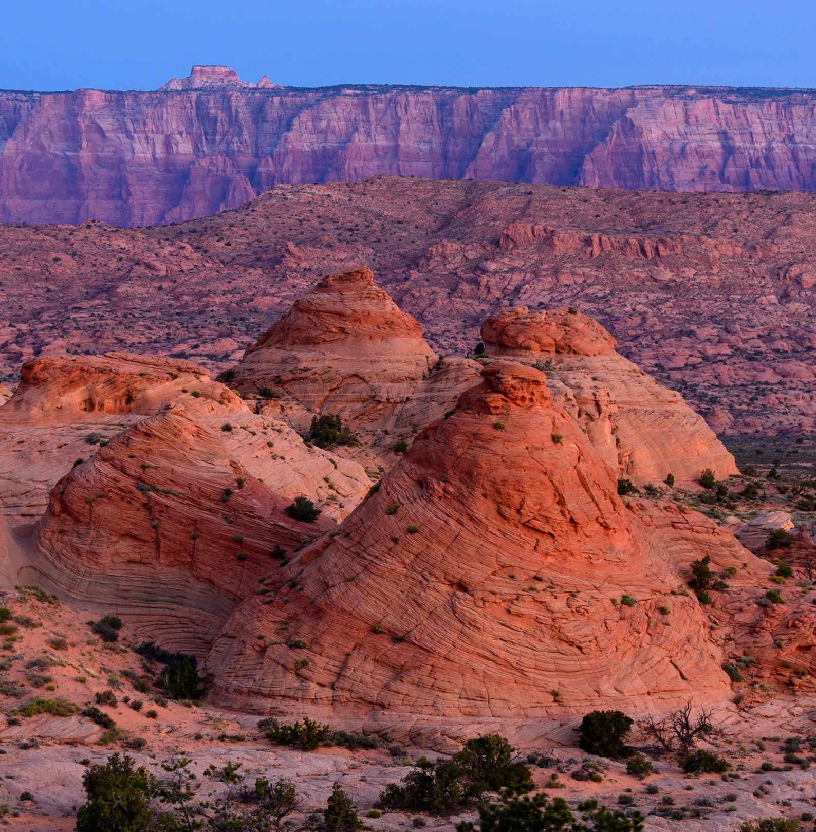 Painted Earth