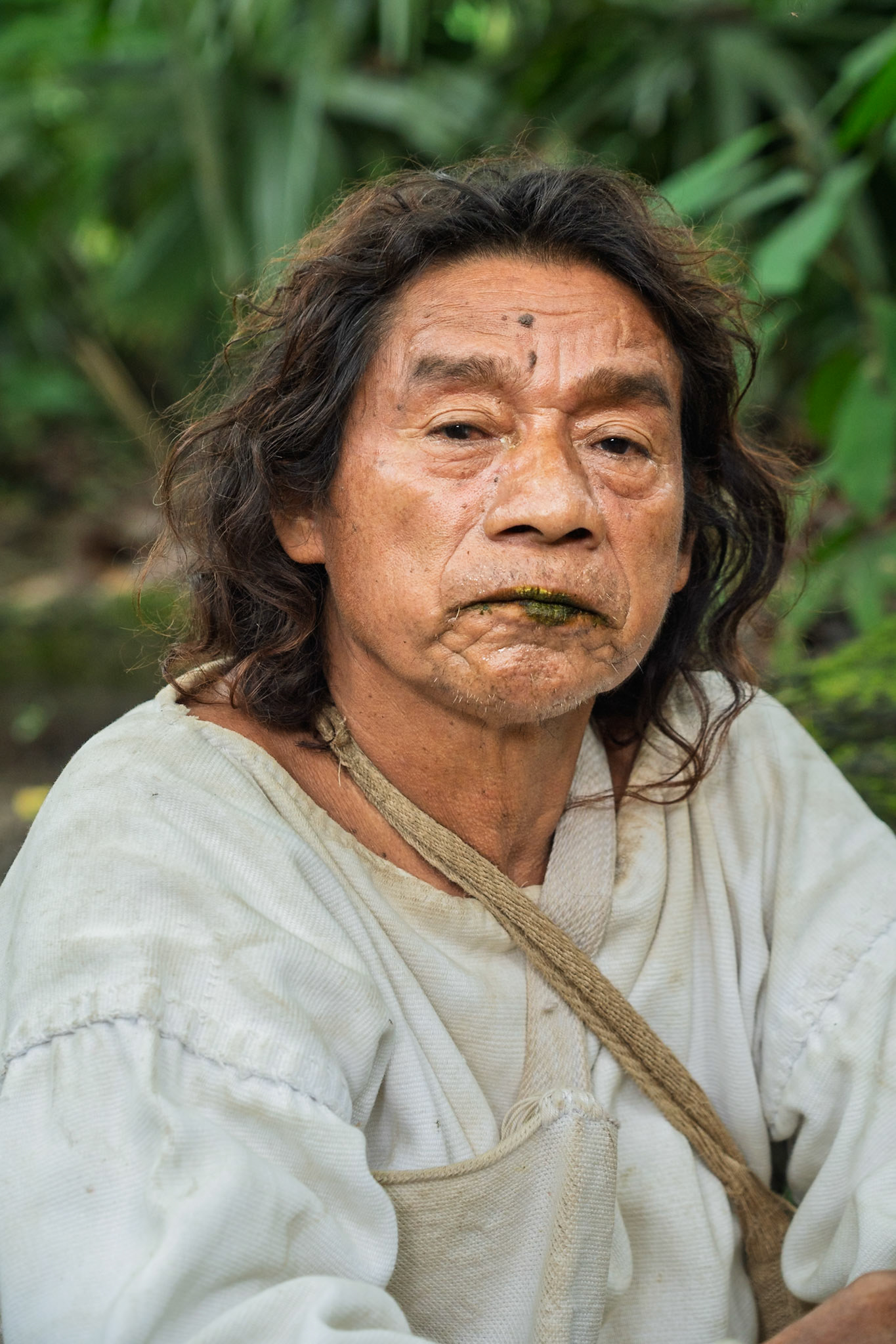 Kogui