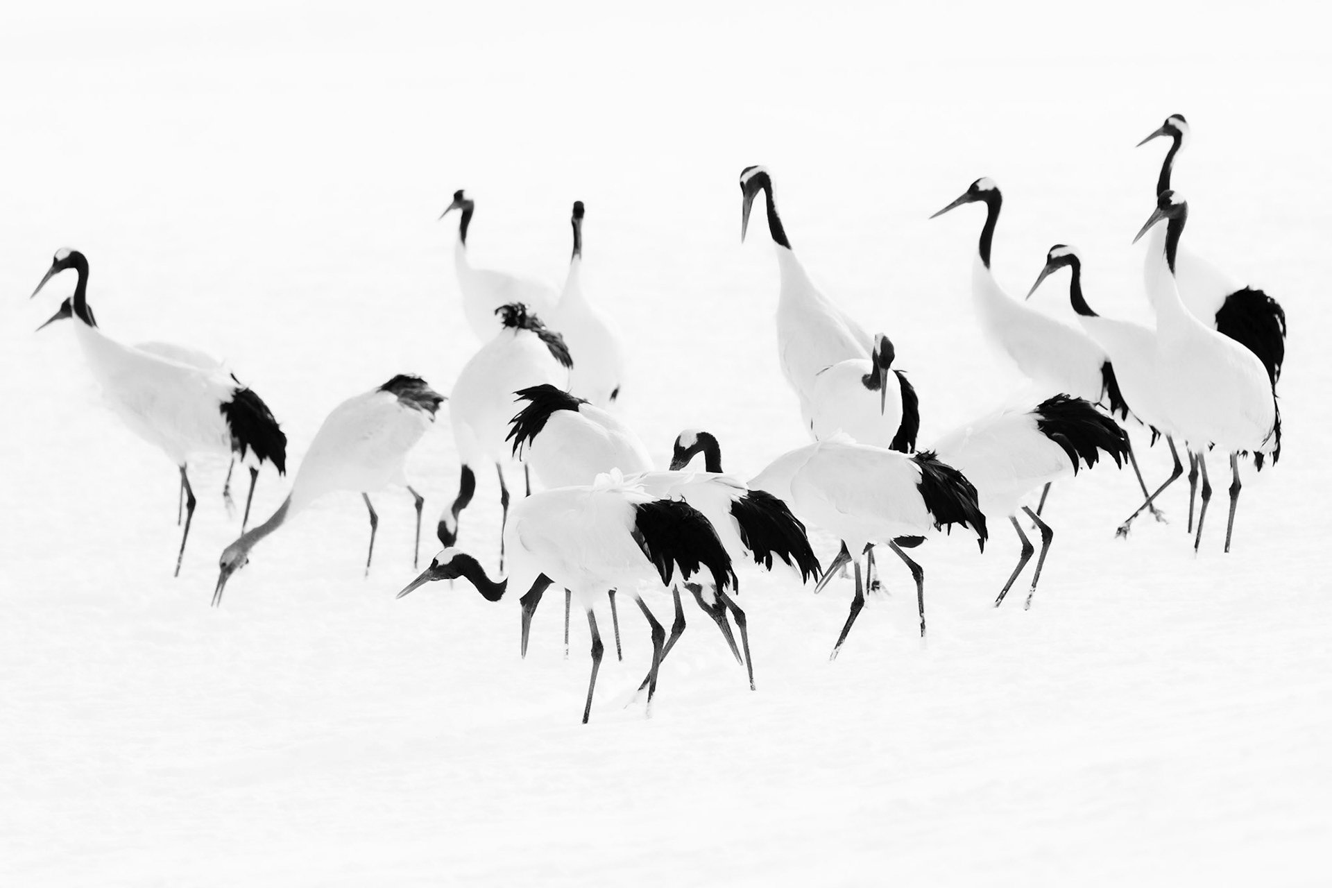 Gathering