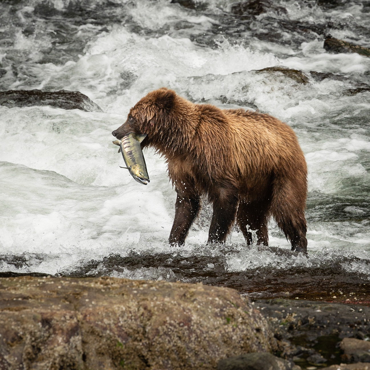 How Do I Get Out Of This?