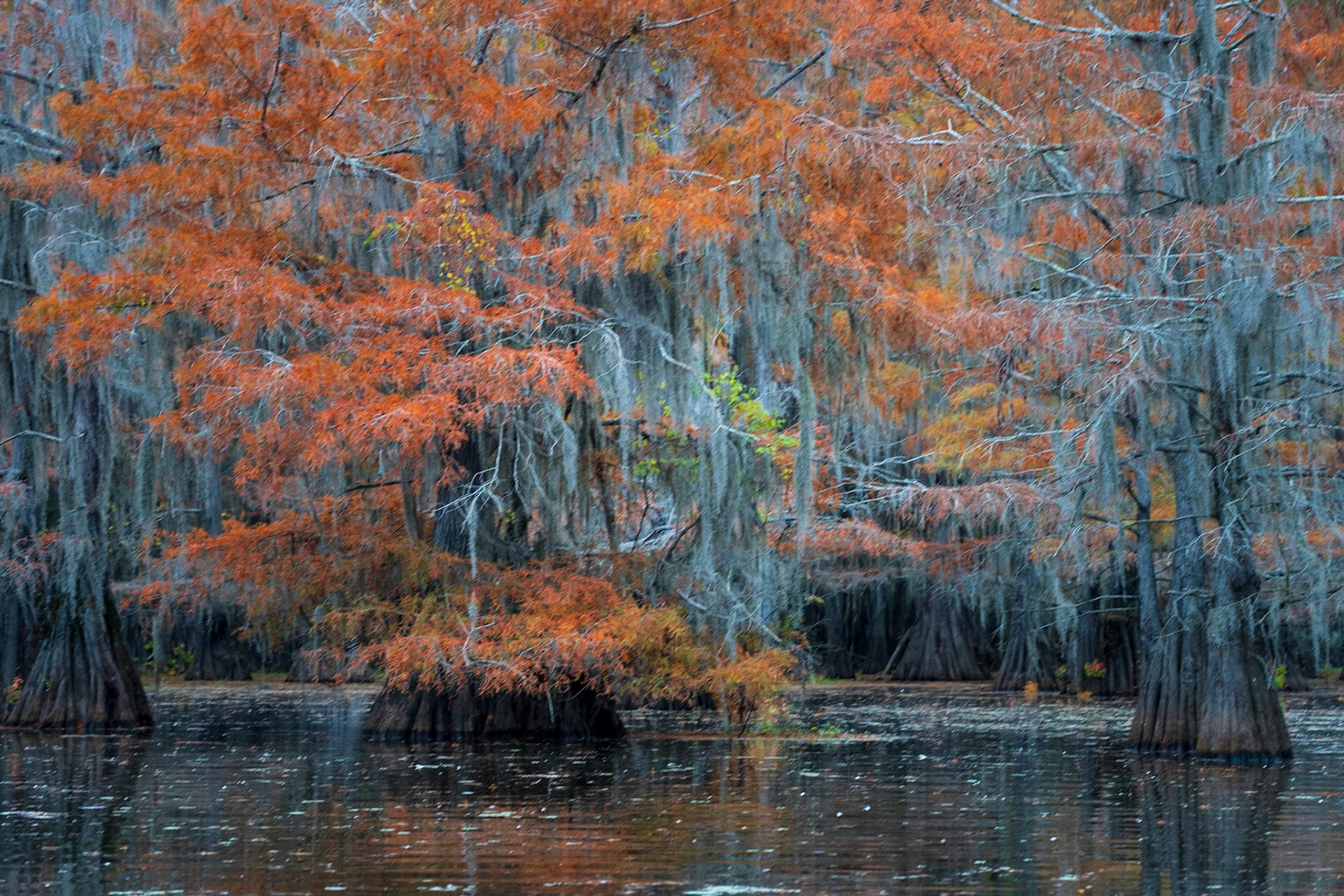 Autumn Reflections