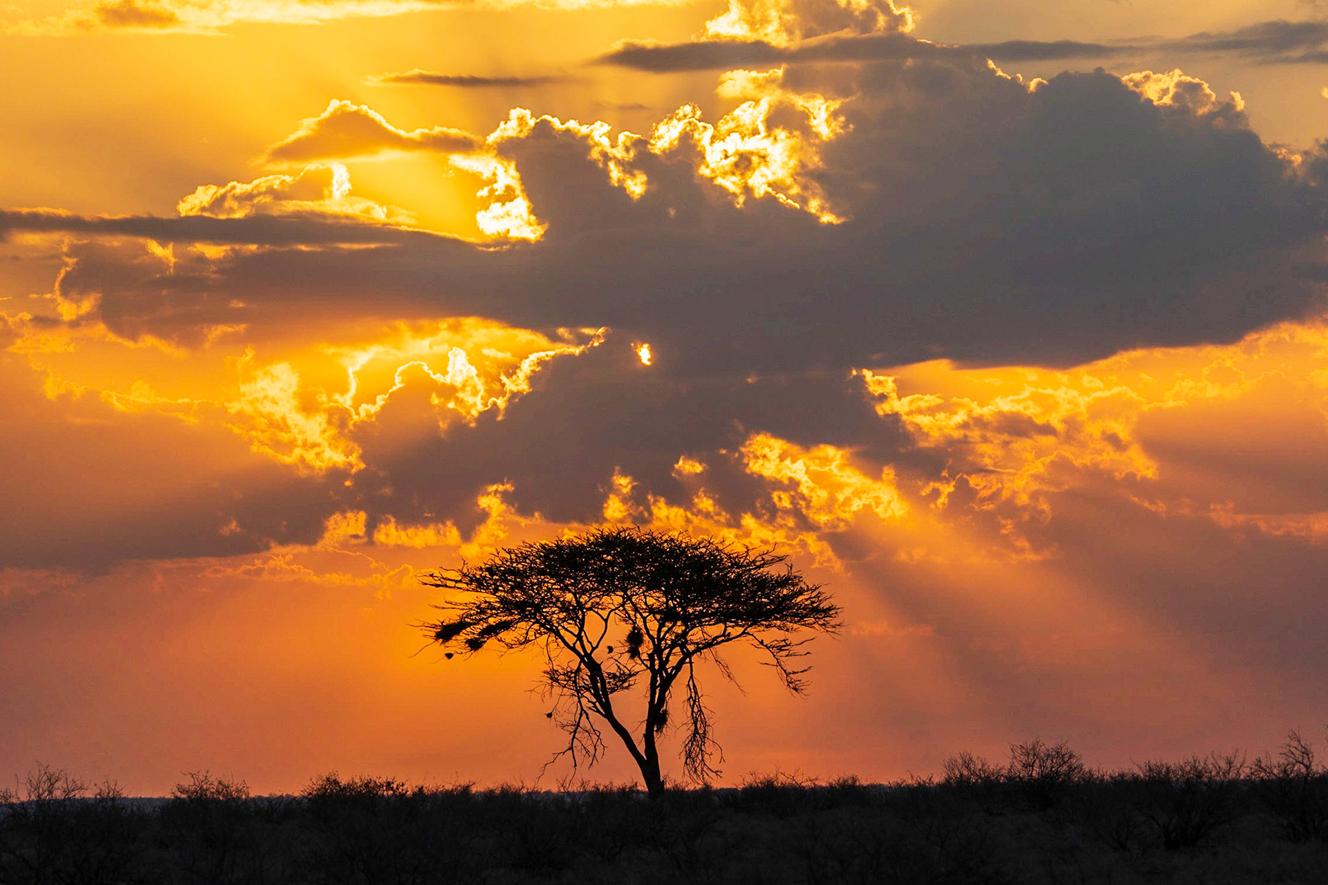 Sunset at Samburu