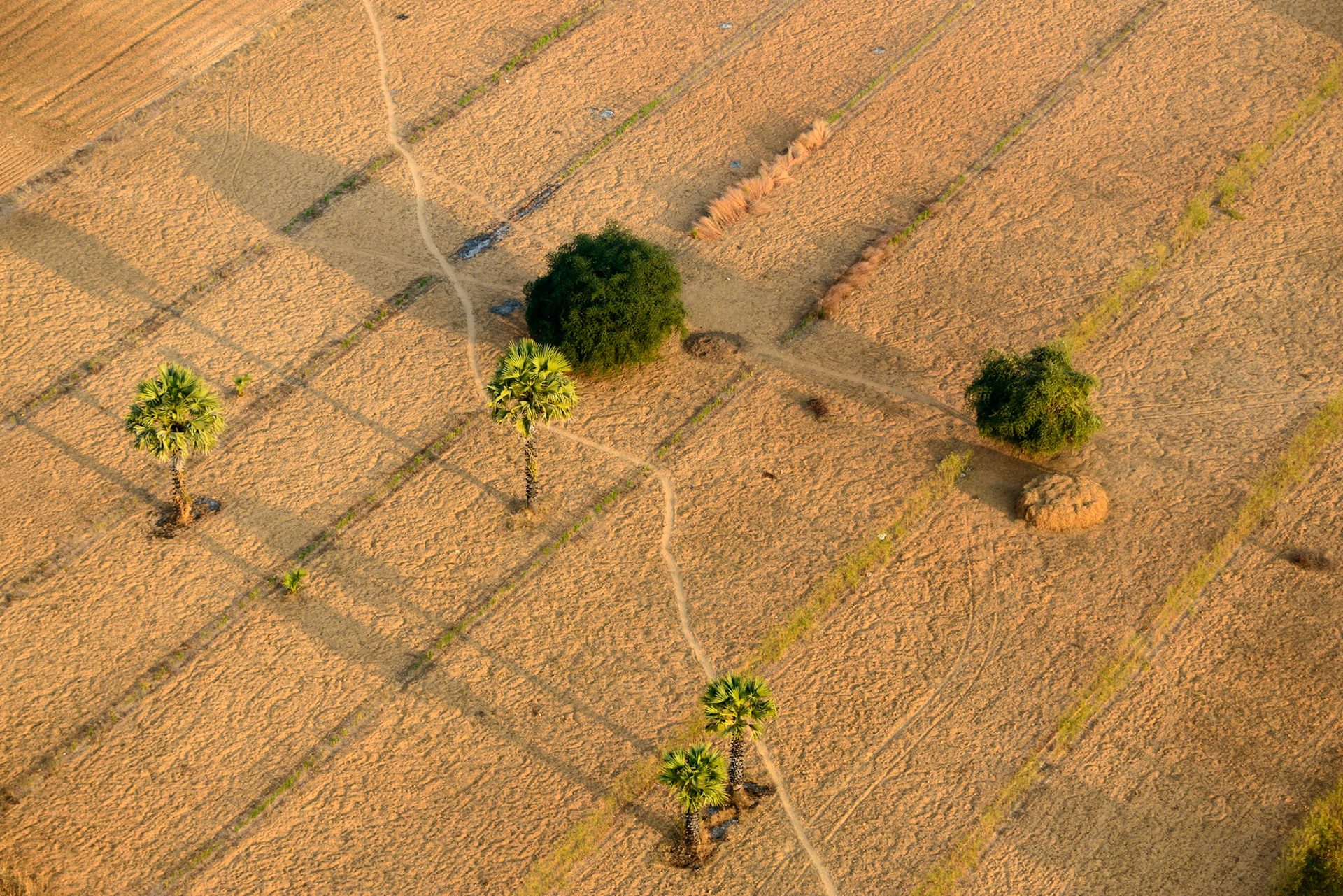 Harvest Geometry