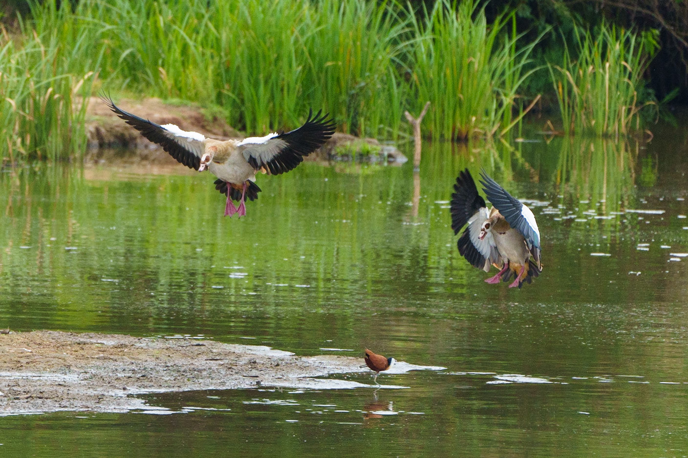 Landing Zone