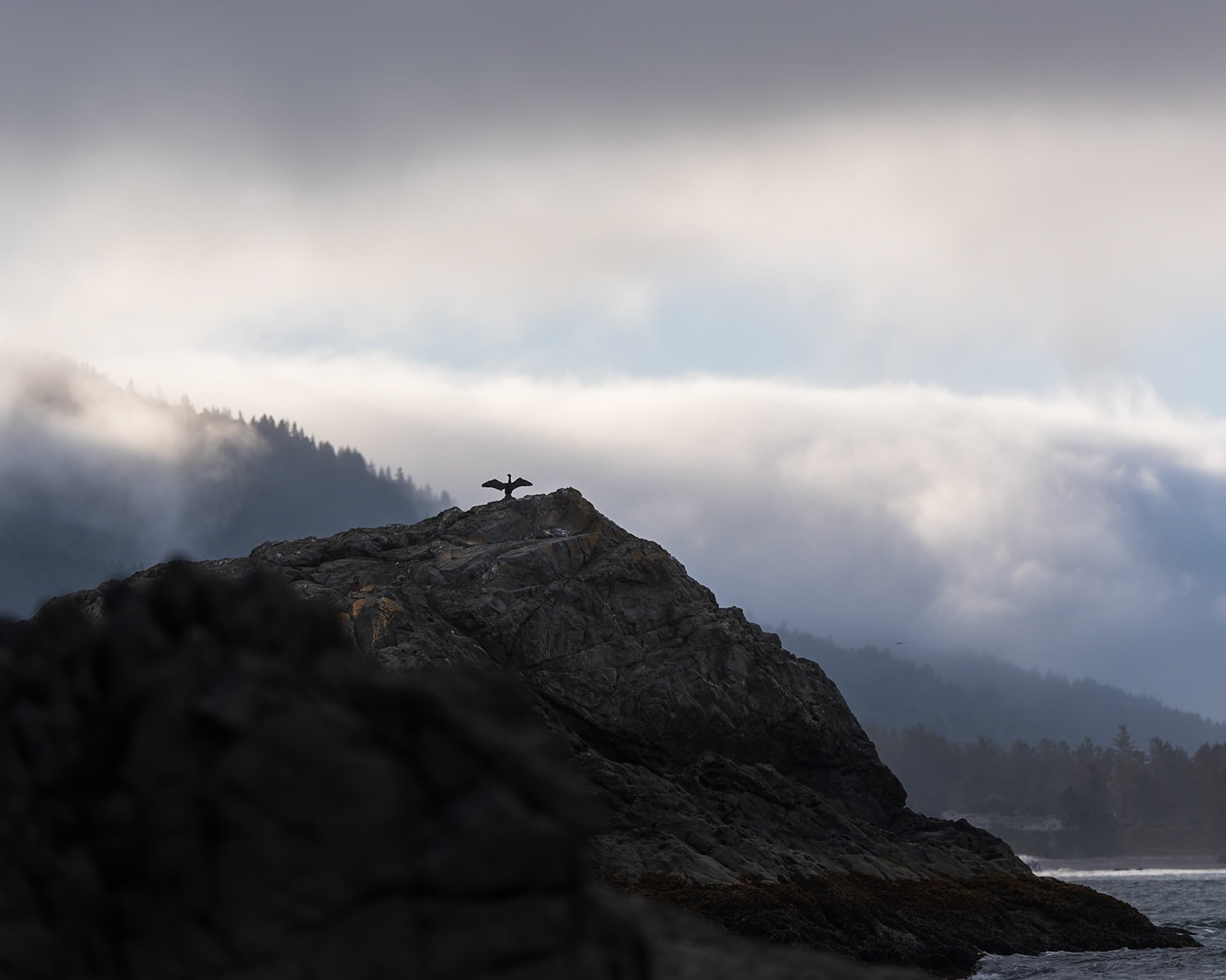 Sentinel