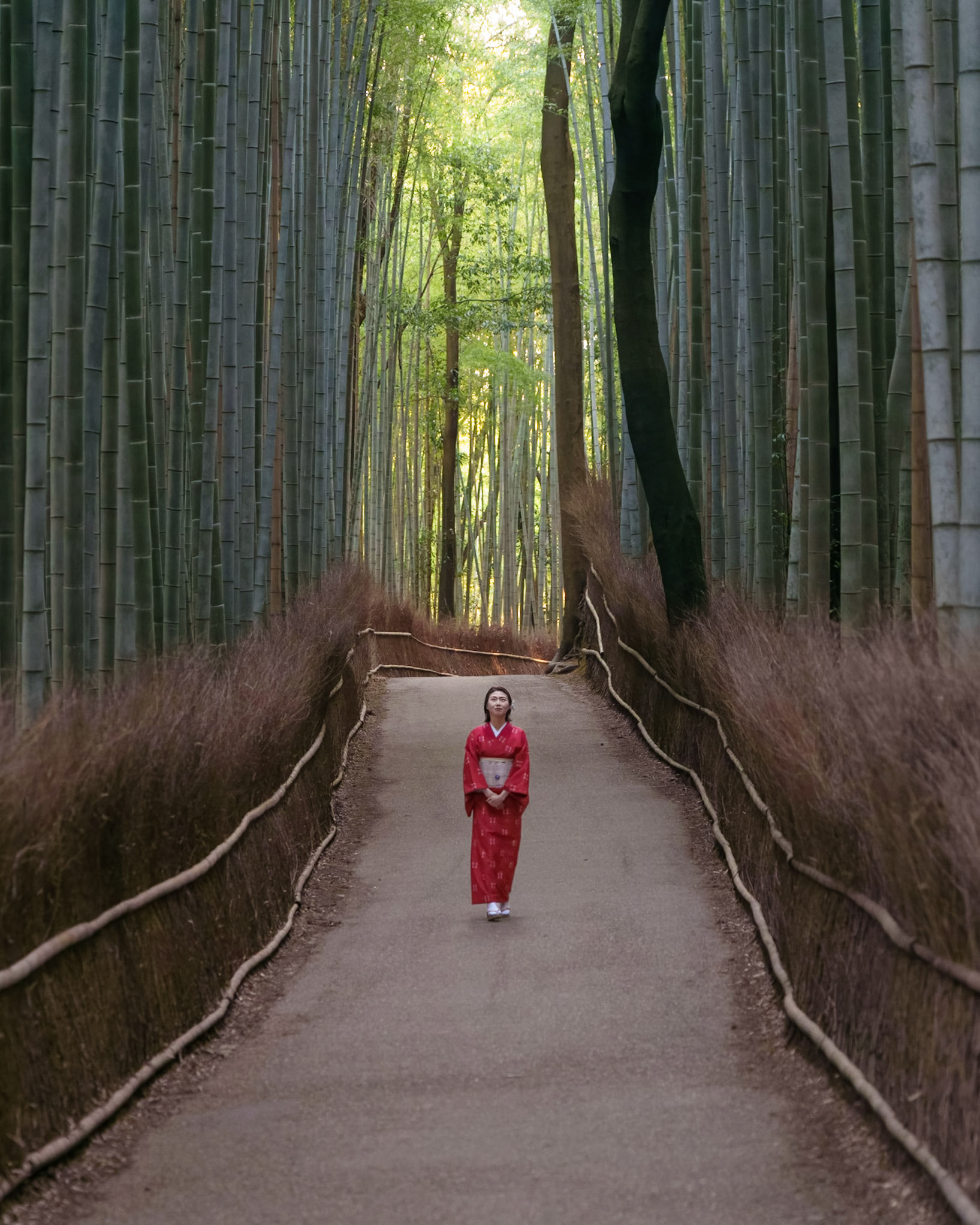 The Bamboo Path