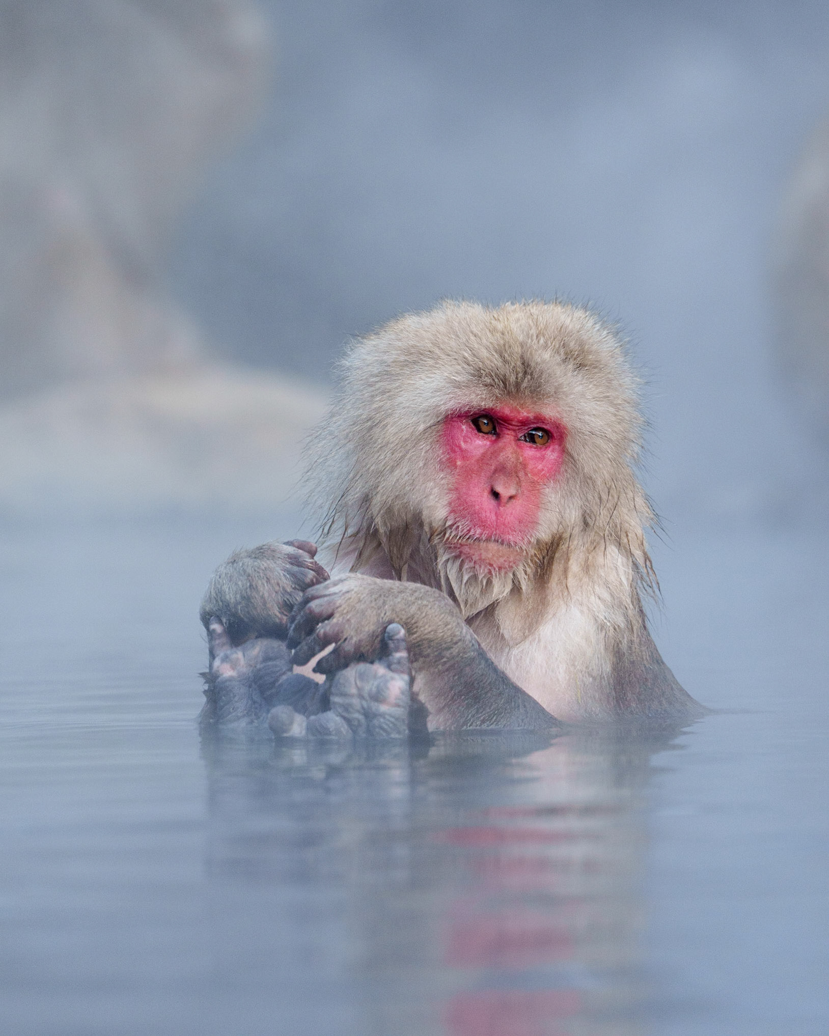 Look Mom, No Hands and No Feet