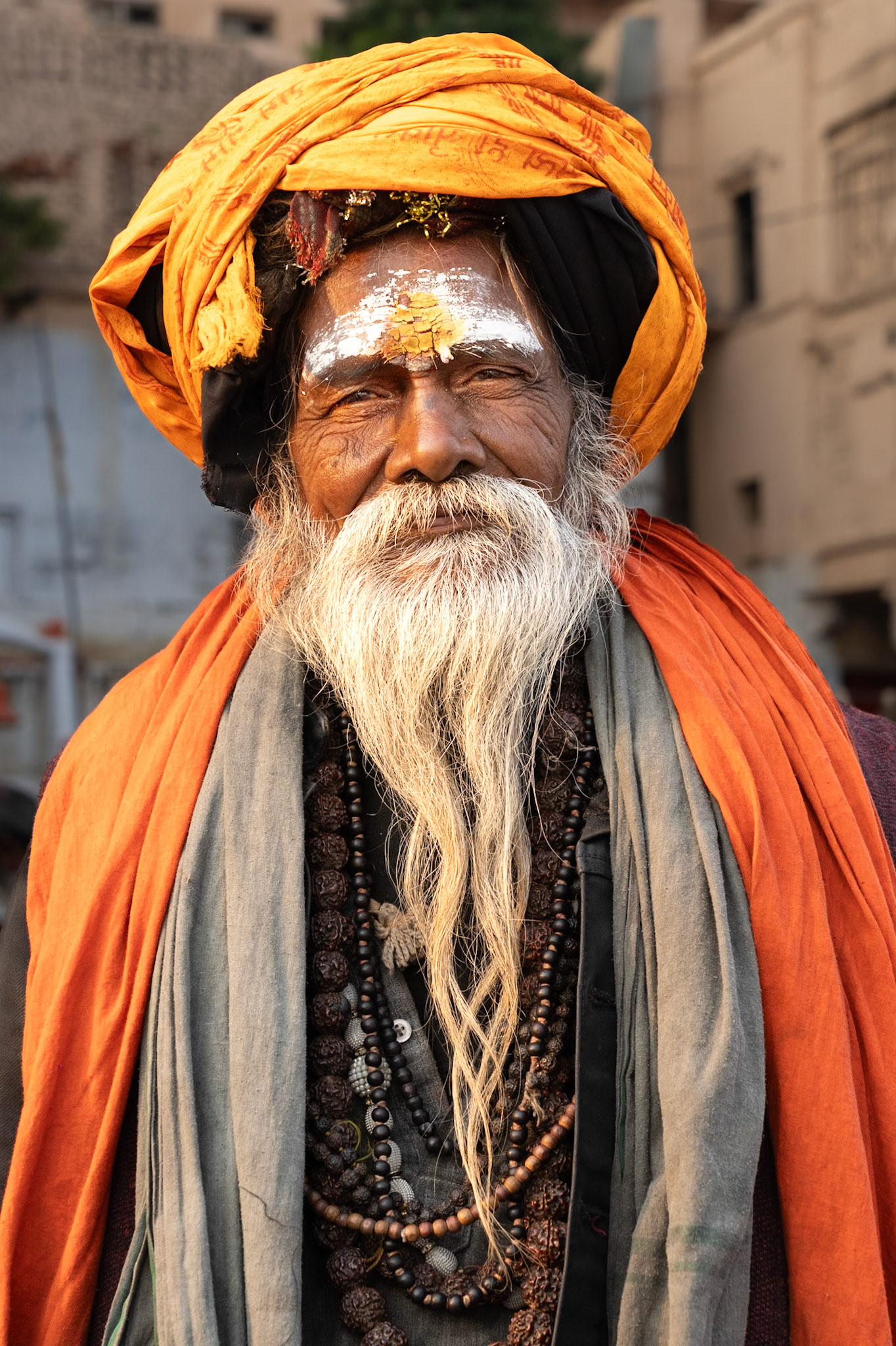 Hindu Sadhu