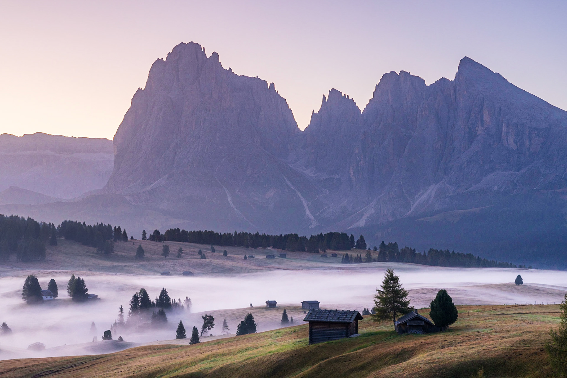 Valley of Fog