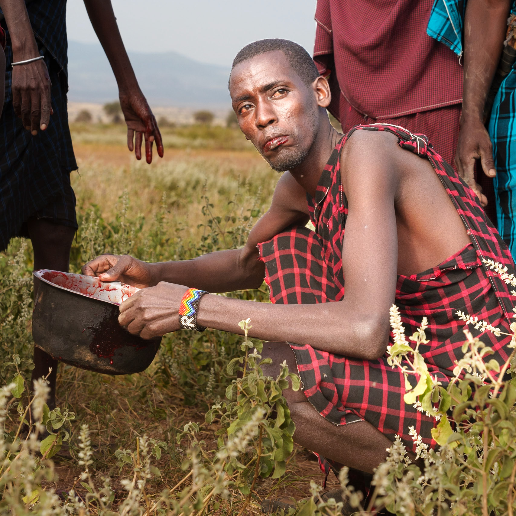 Maasai Ritual Blood Drinking