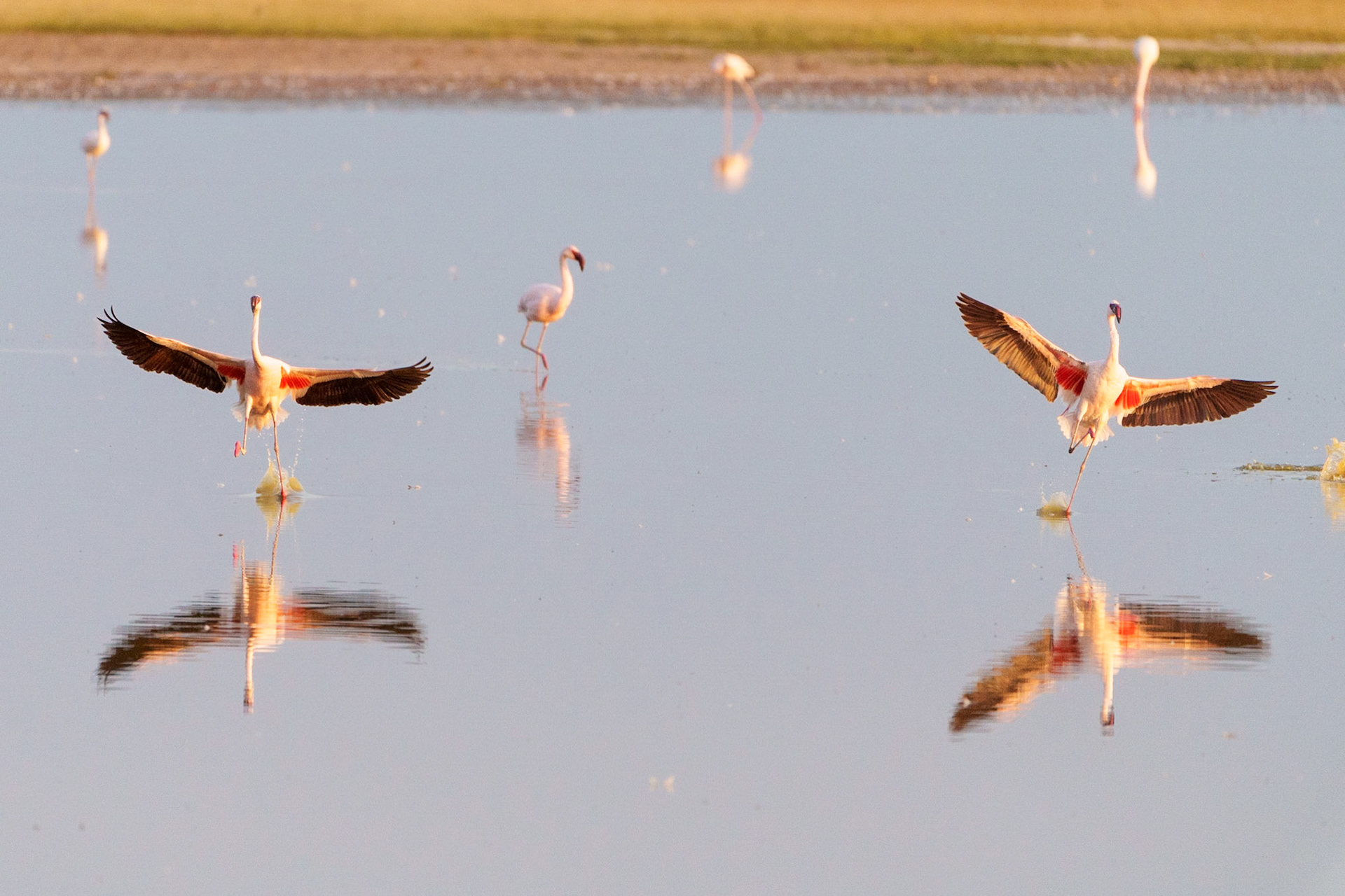 Two in Reflection