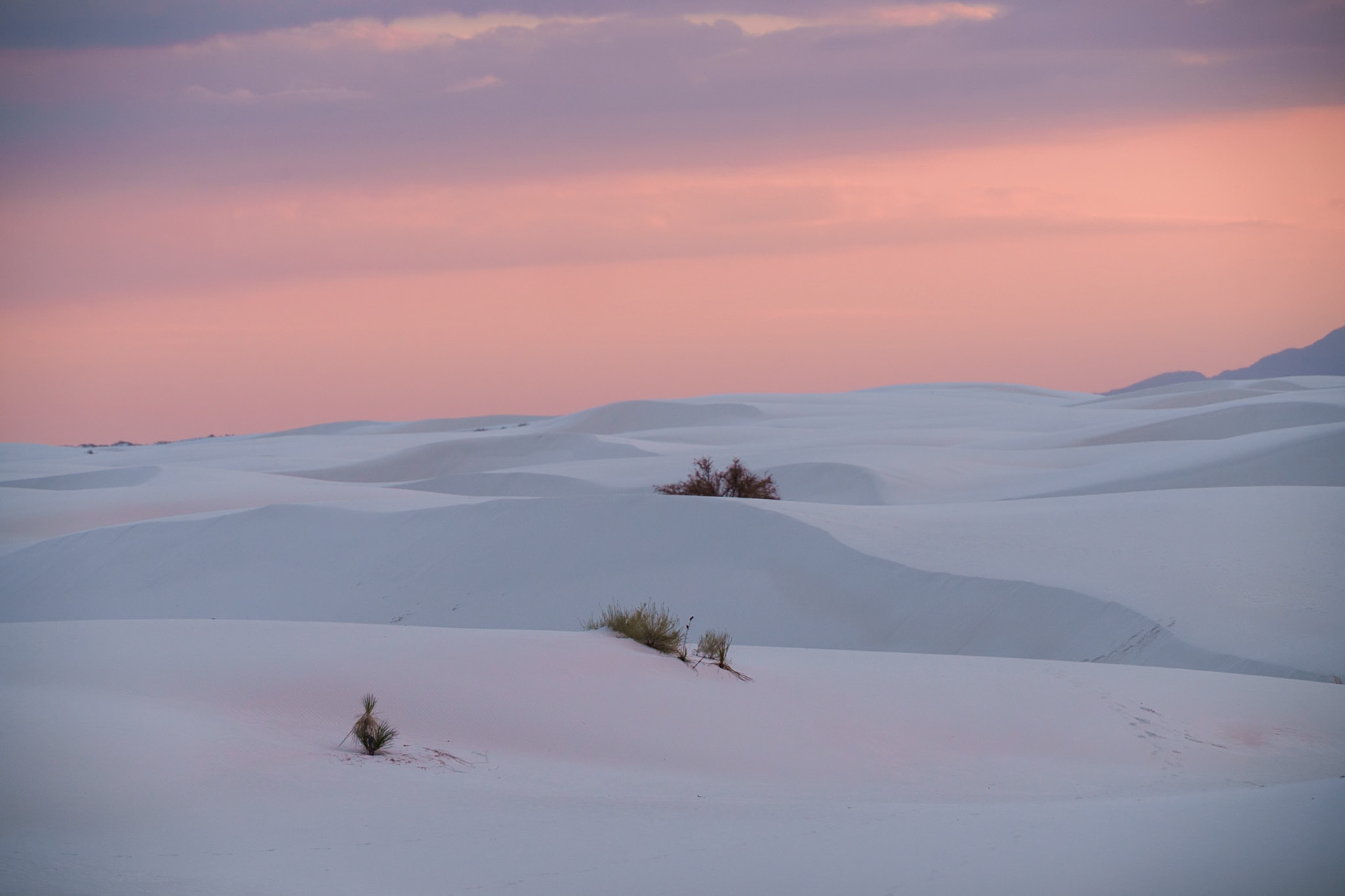 Whispering Dunes