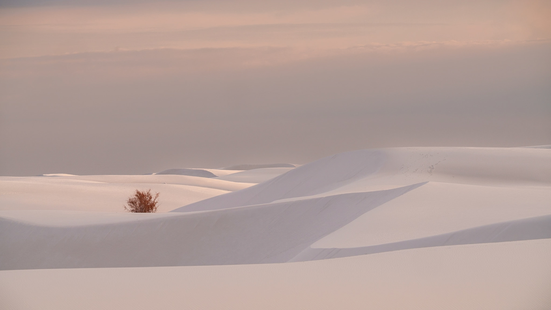 Silent Dunes