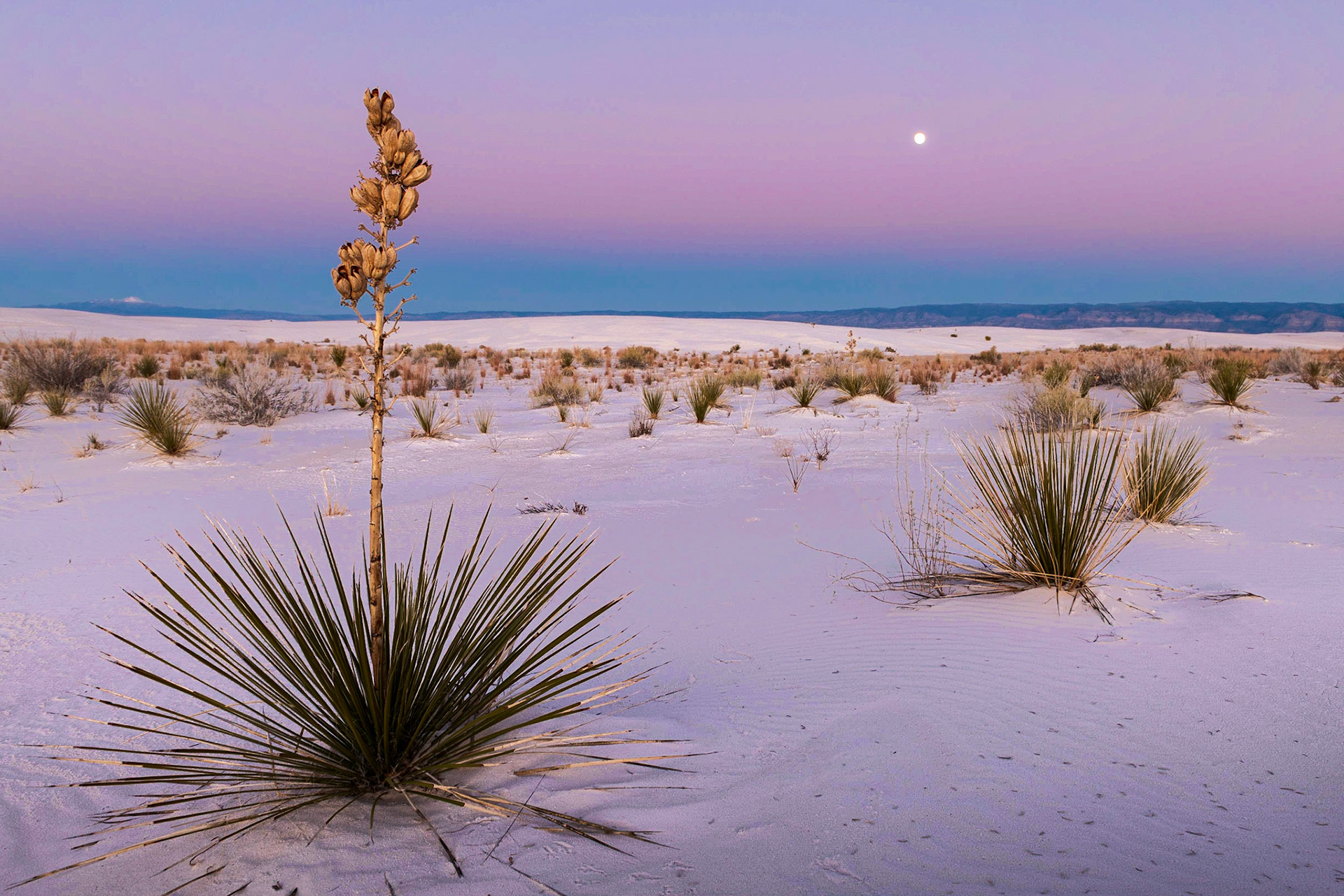 Moonrise Over White Sands