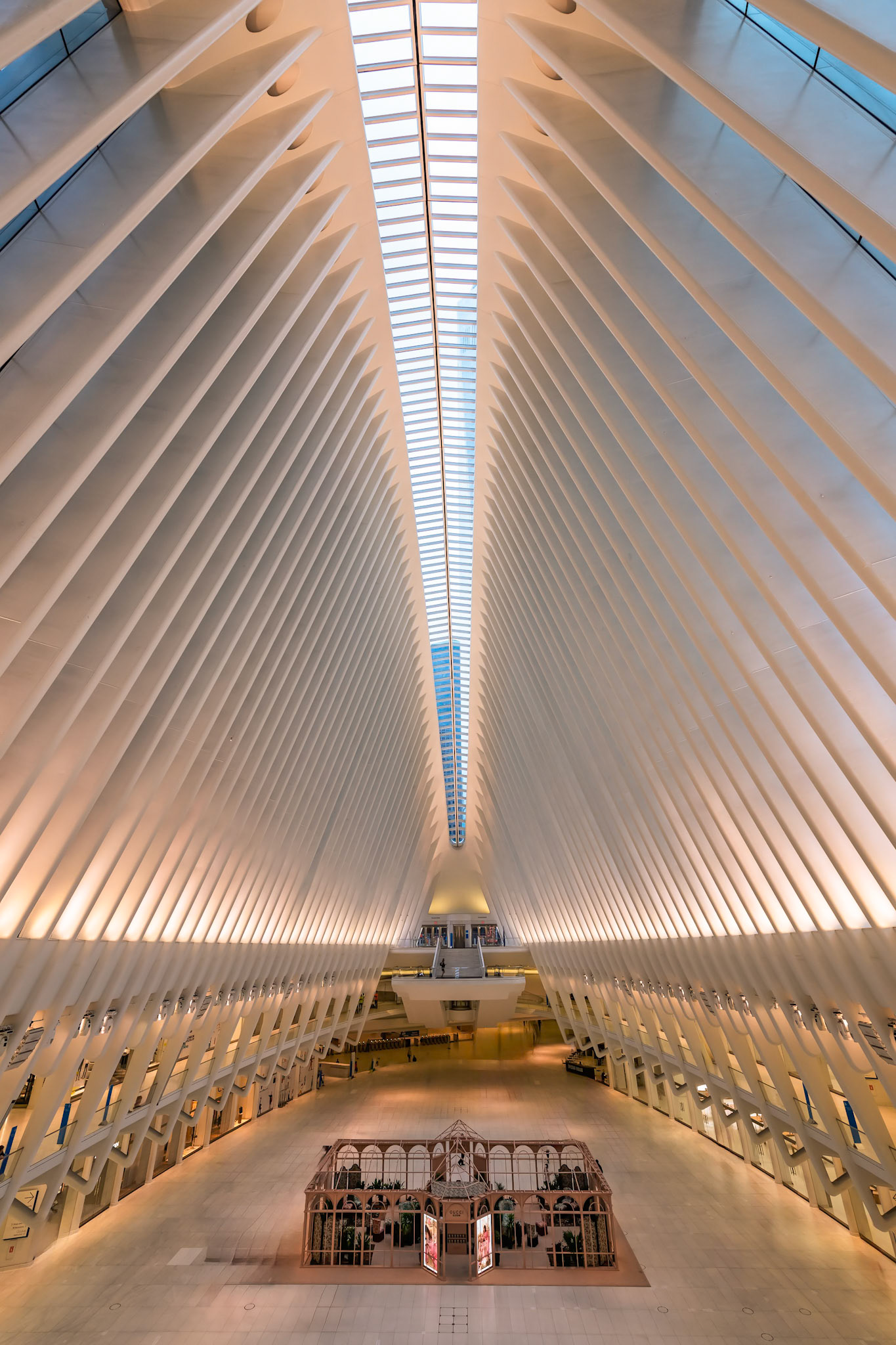 NIKON D850, f5.6, 1/100”, ISO 450, 14mm, AUTO1