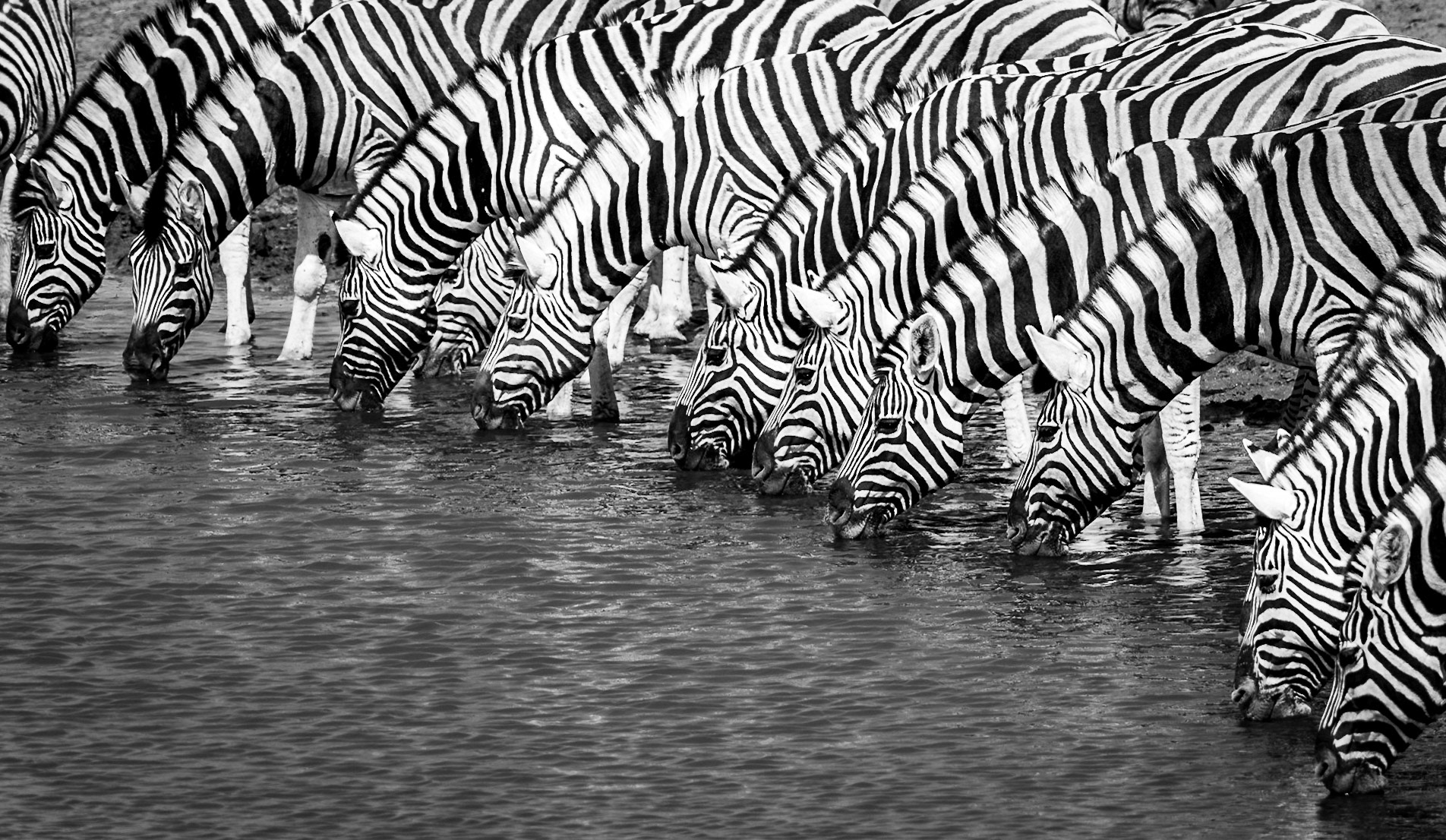 Rhythm of Thirst