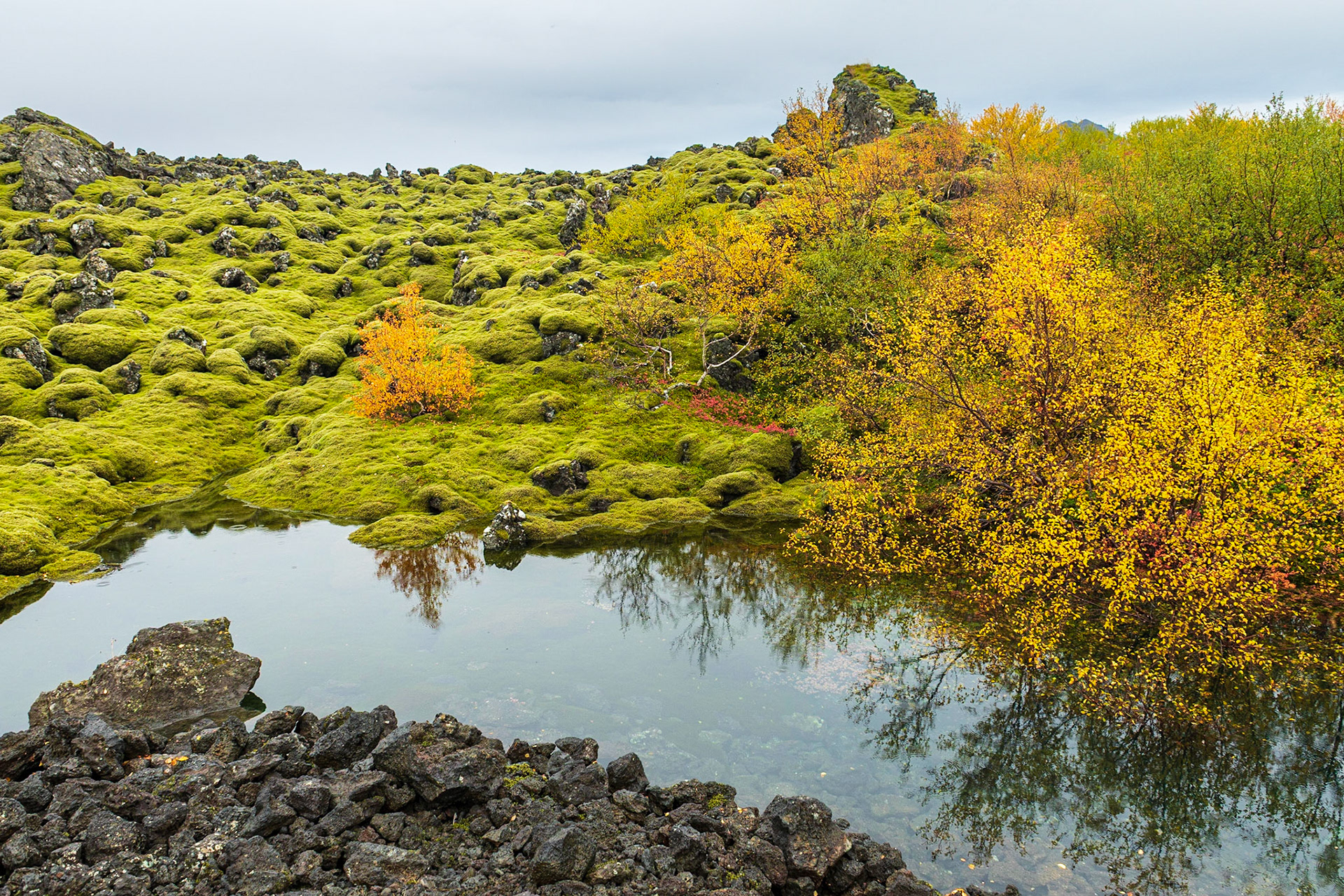 Autumn Reflections