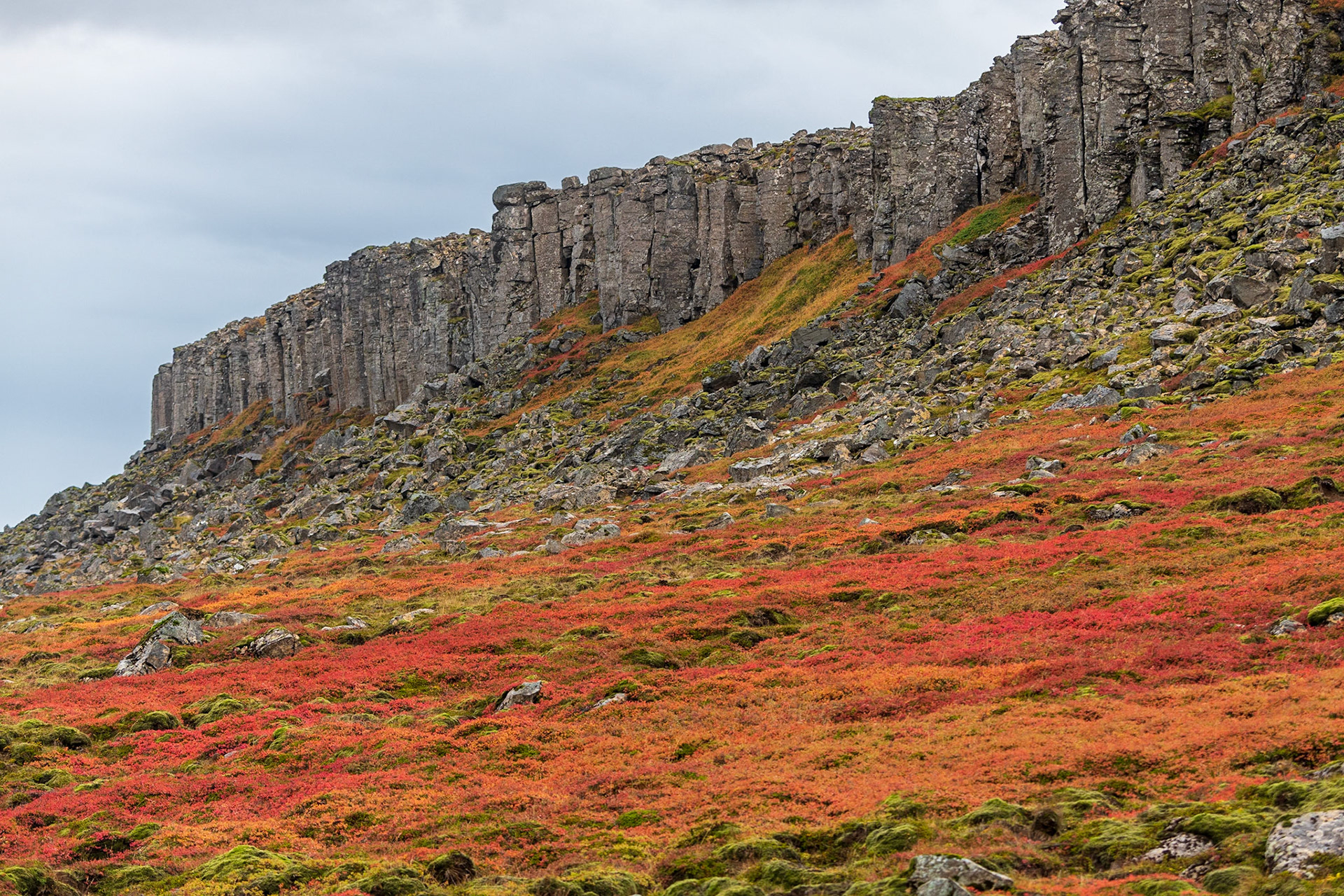 Beneath the Basalt Wall