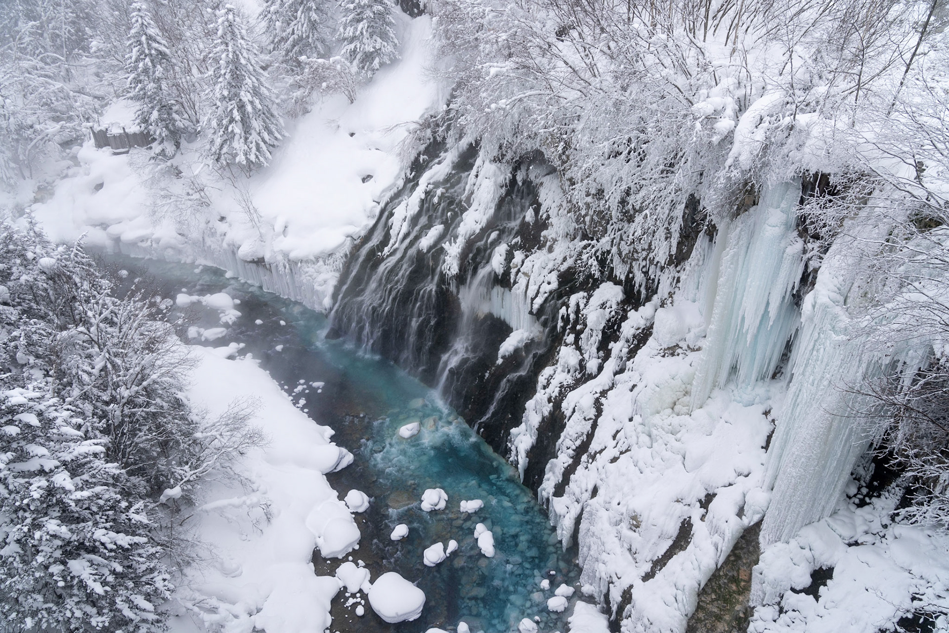 Frozen Blue