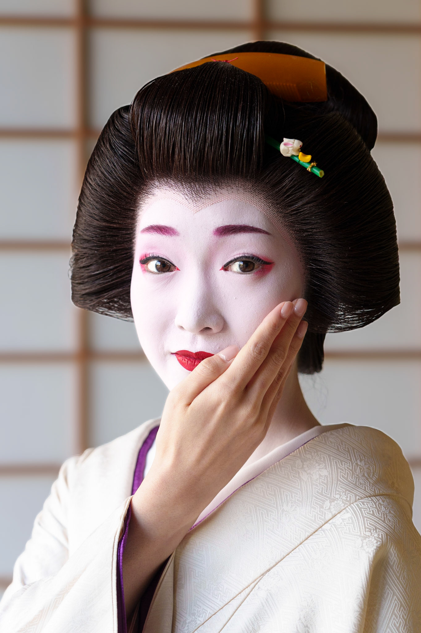 Geiko in Kyoto