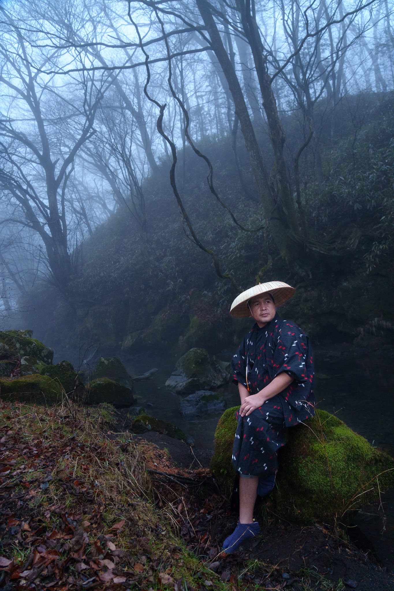 Into the Mist