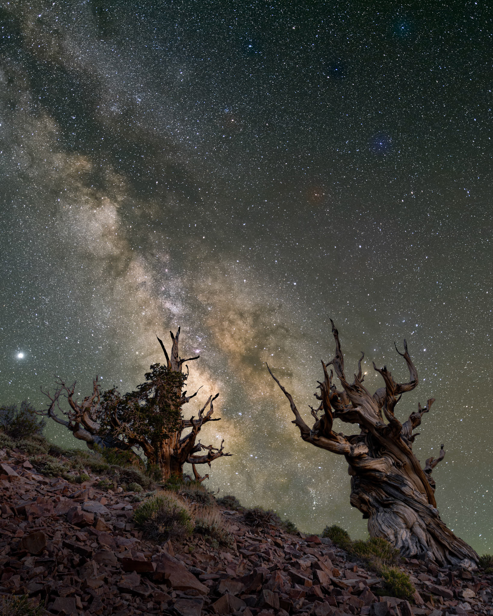 Guardians of the Milky Way