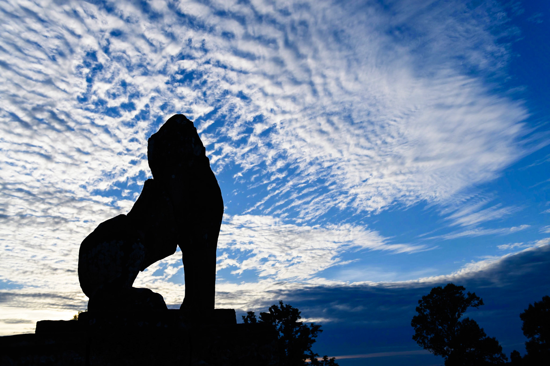 Sky Watcher