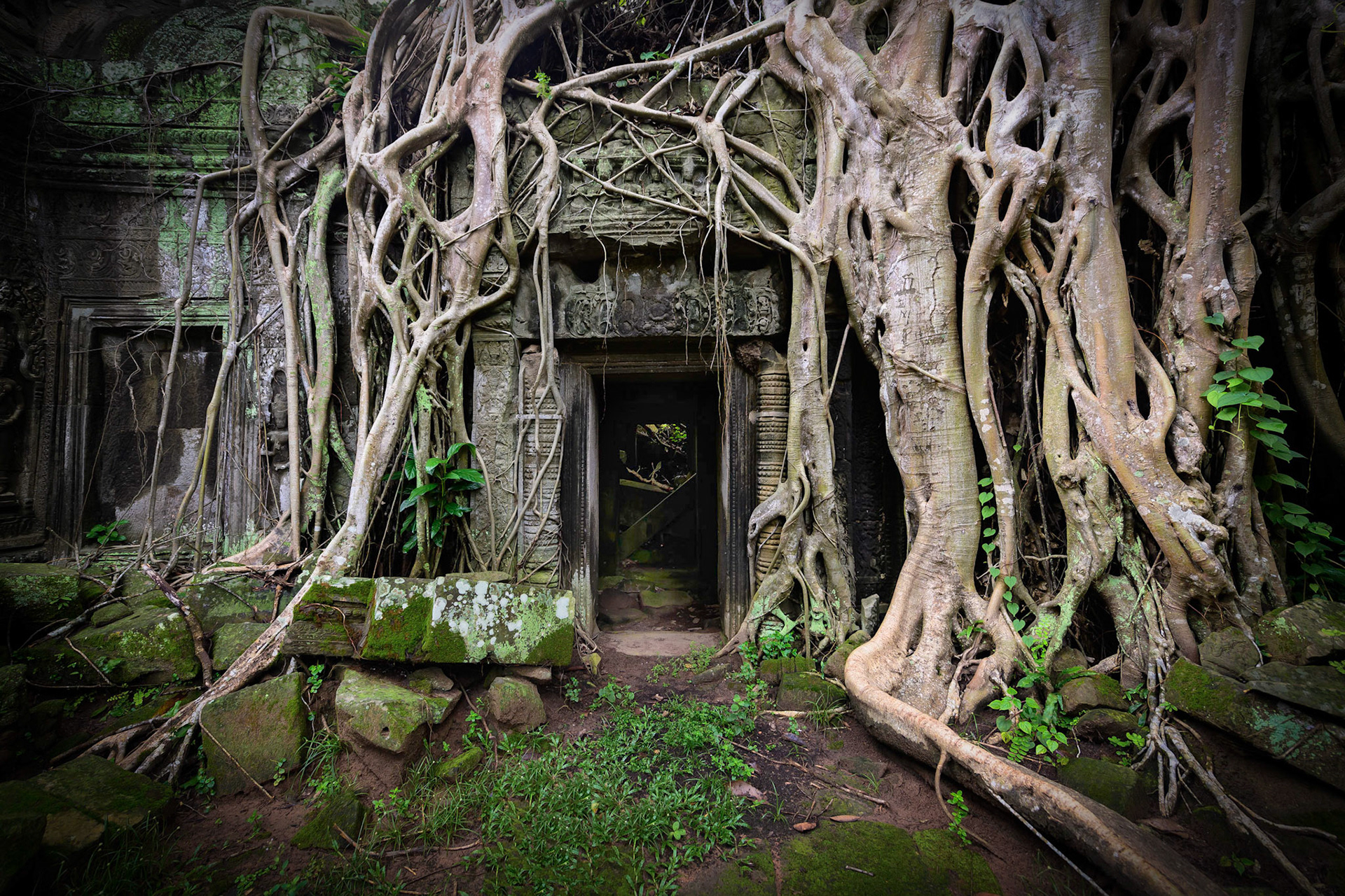 Roots of Time