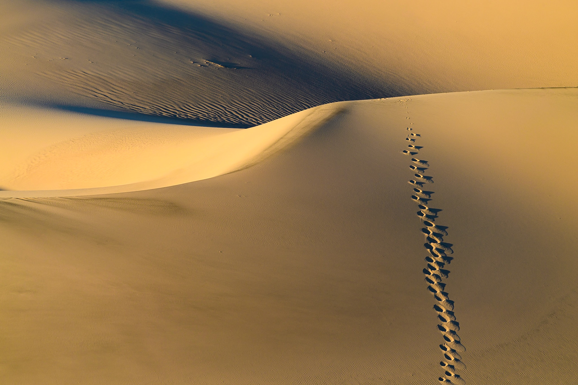 Walk to Nowhere