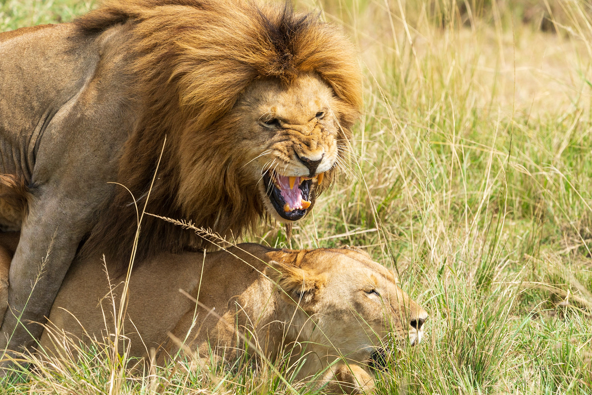 Was it Good for You?