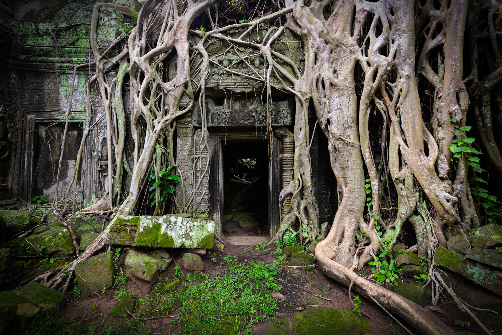 Ta Prohm Raiders