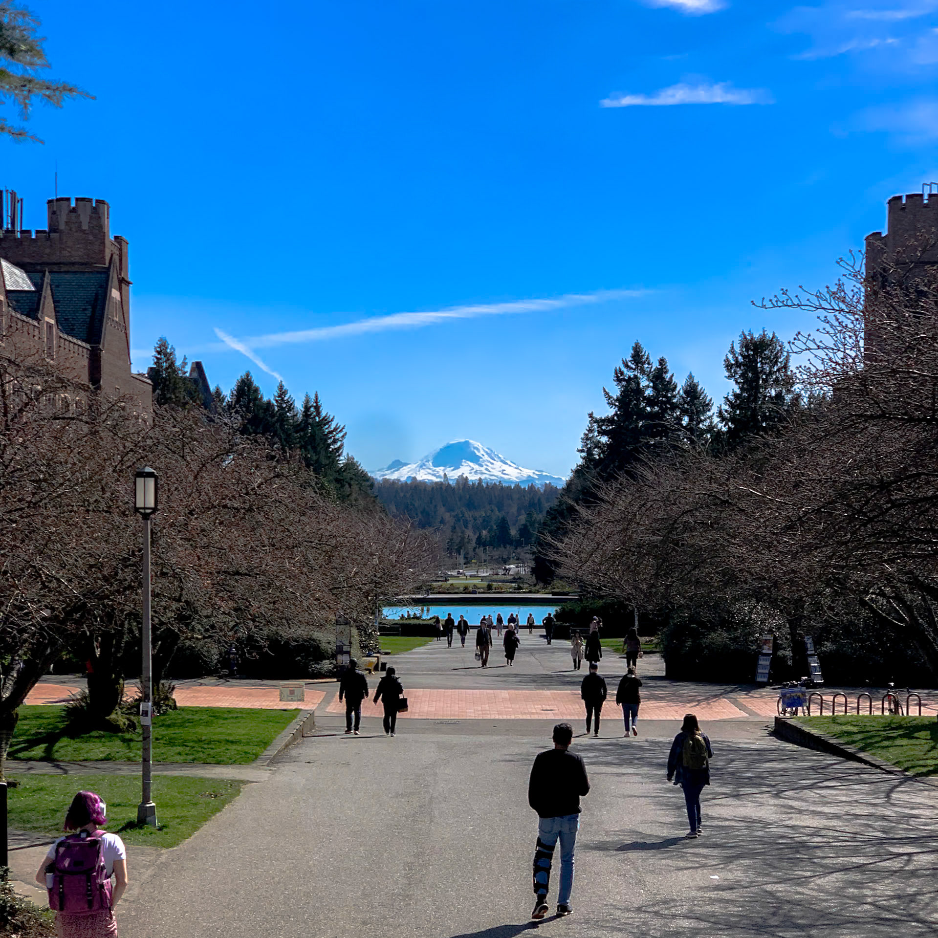 View of Mt. Rainier from the Red Square