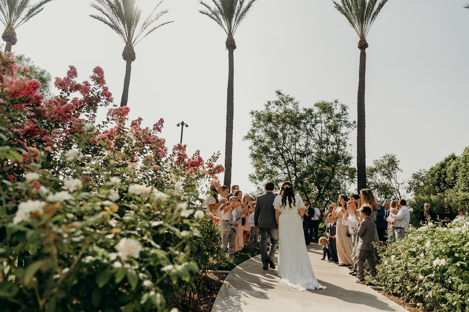 Wedding Photography