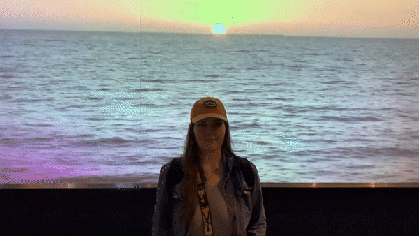 Alexis May Scullin