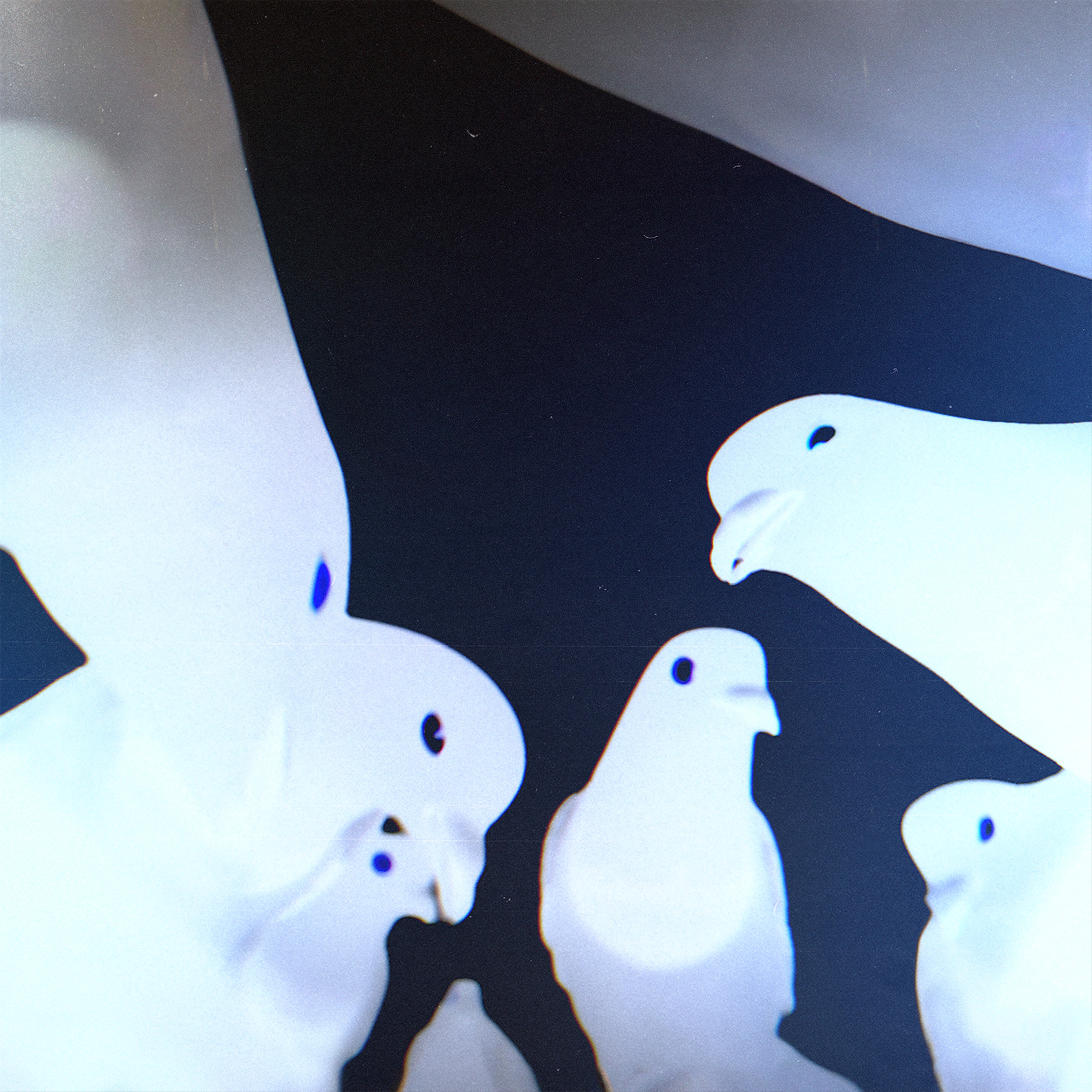 Stimming - Friedrich album art 